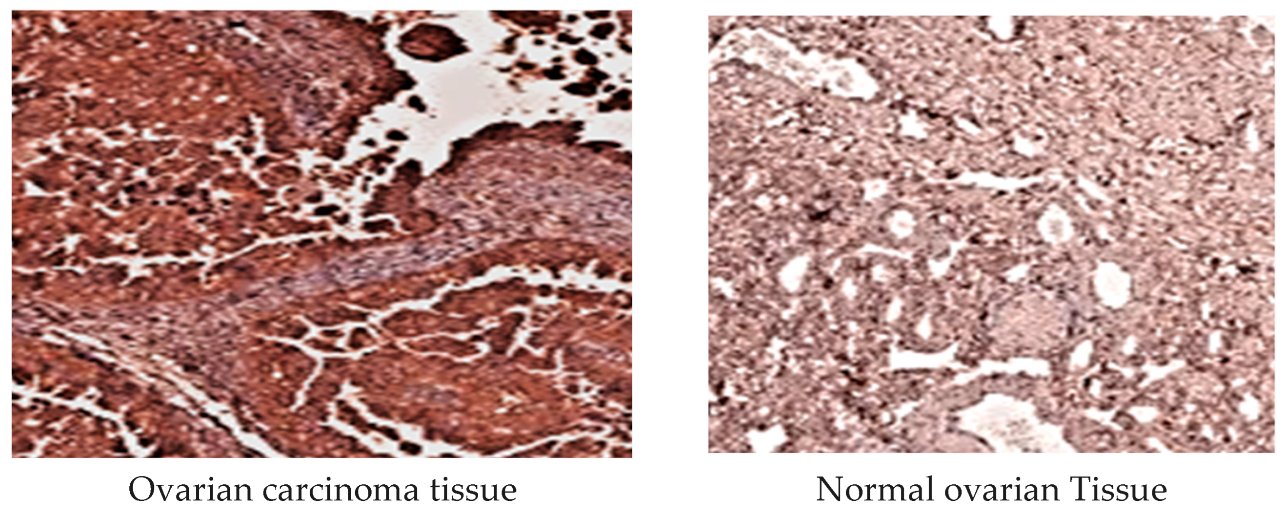 Diagnostics 15 01521 g004