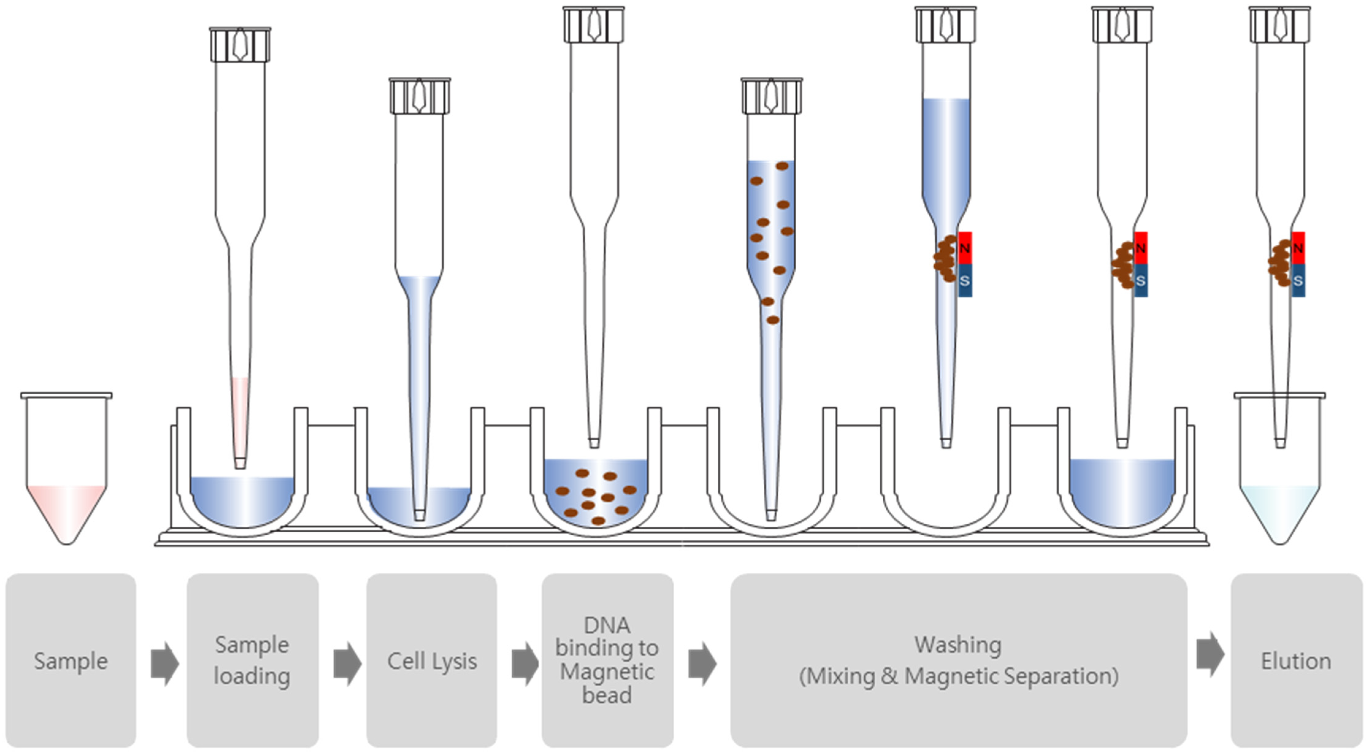 Diagnostics 15 01528 g002