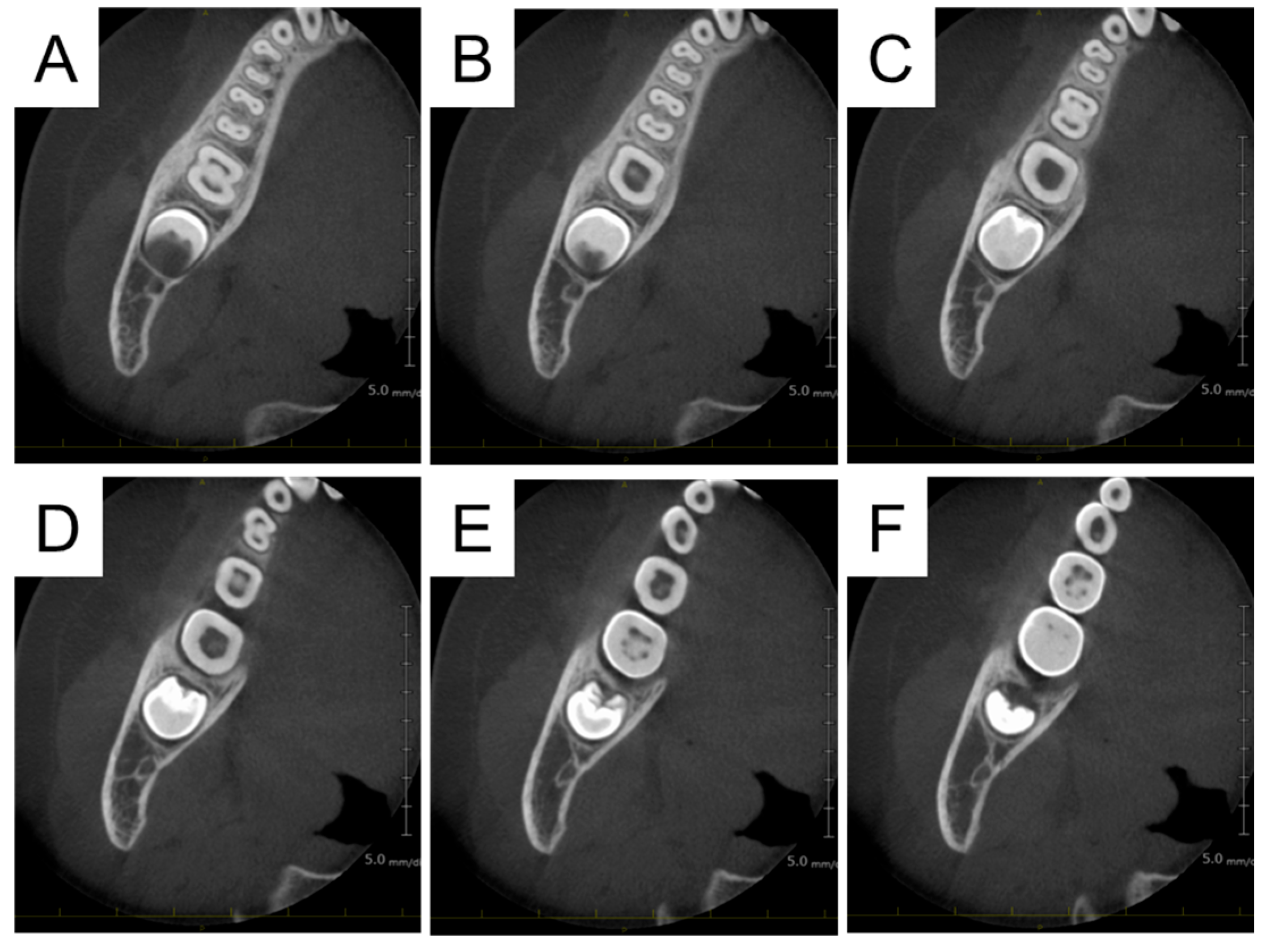 Diagnostics 15 01531 g007