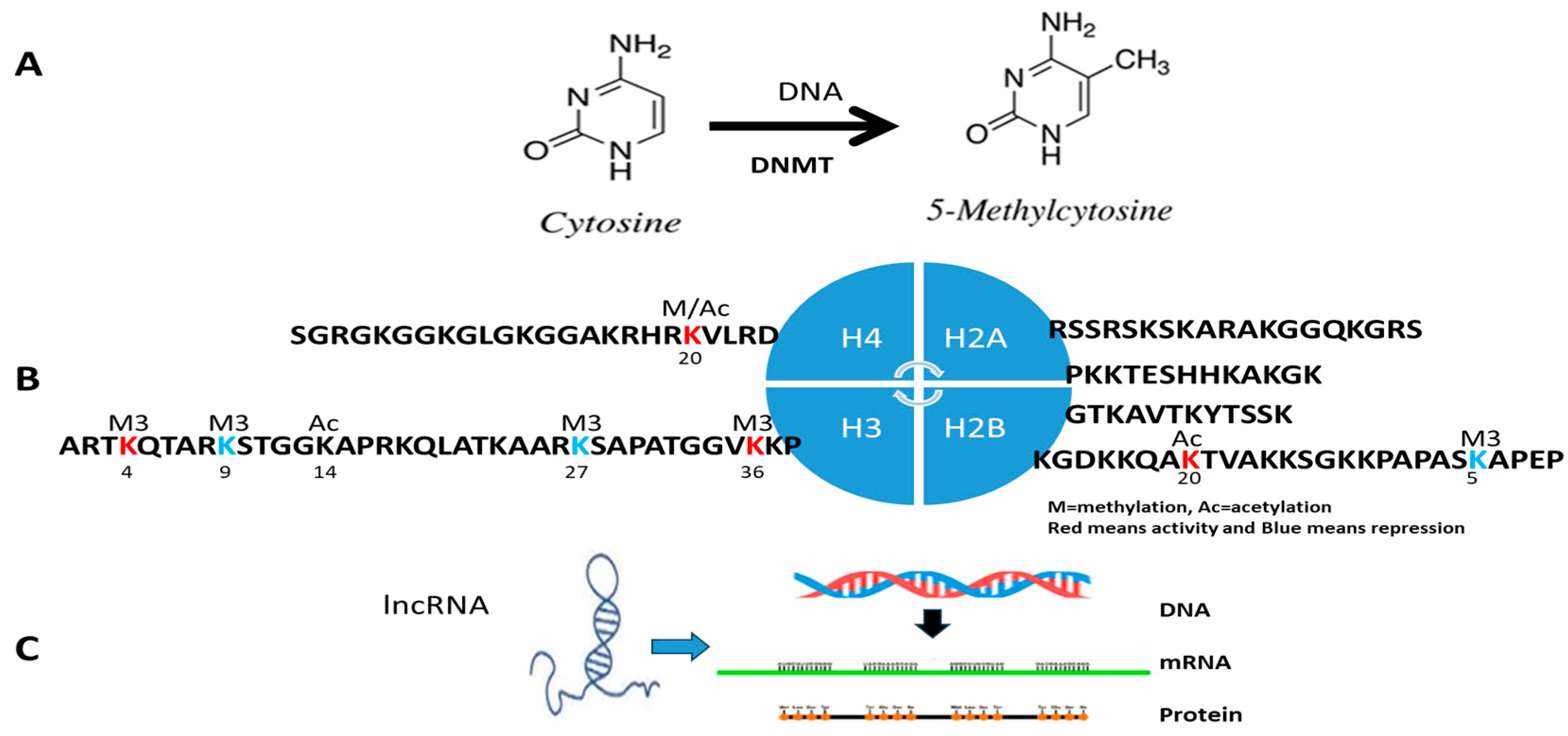 Diagnostics 15 01539 g001 Diagnostics 15 01539 g001
