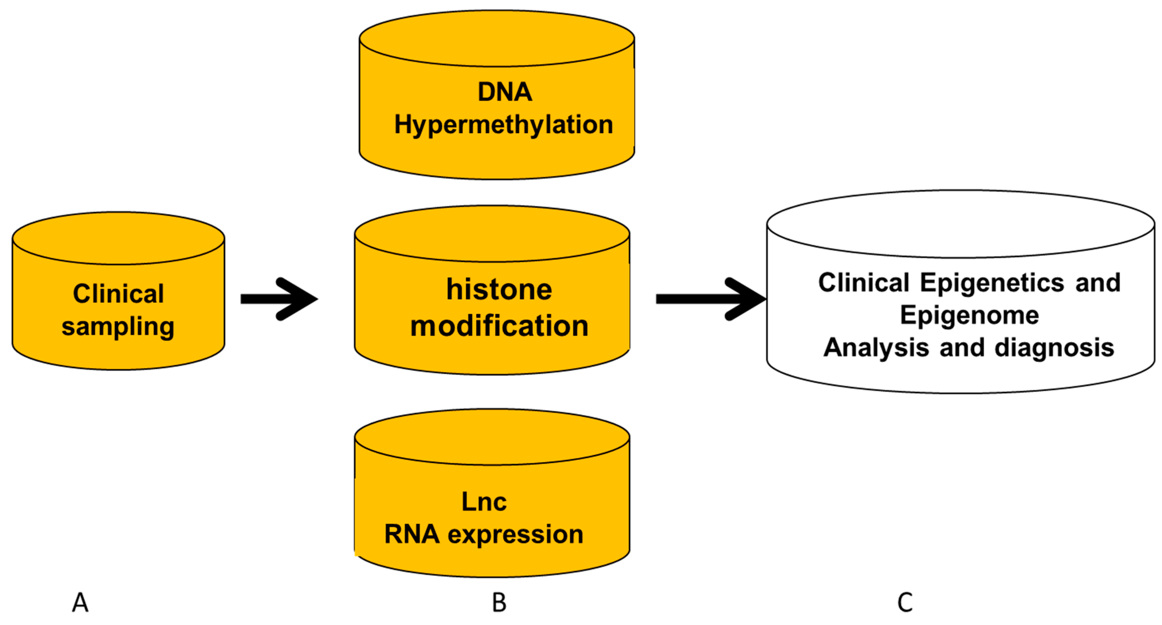 Diagnostics 15 01539 g002 Diagnostics 15 01539 g002