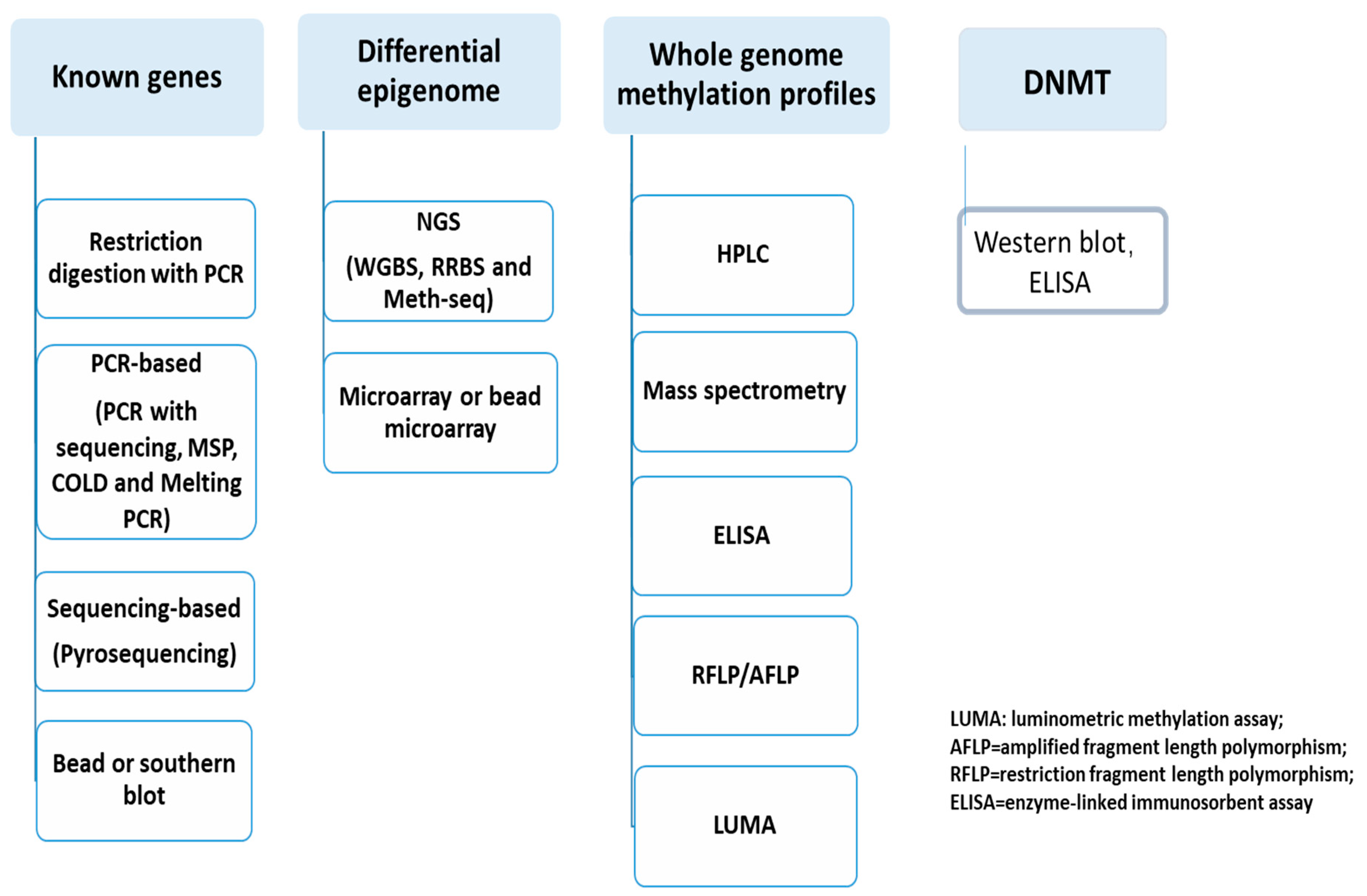 Diagnostics 15 01539 g003 Diagnostics 15 01539 g003