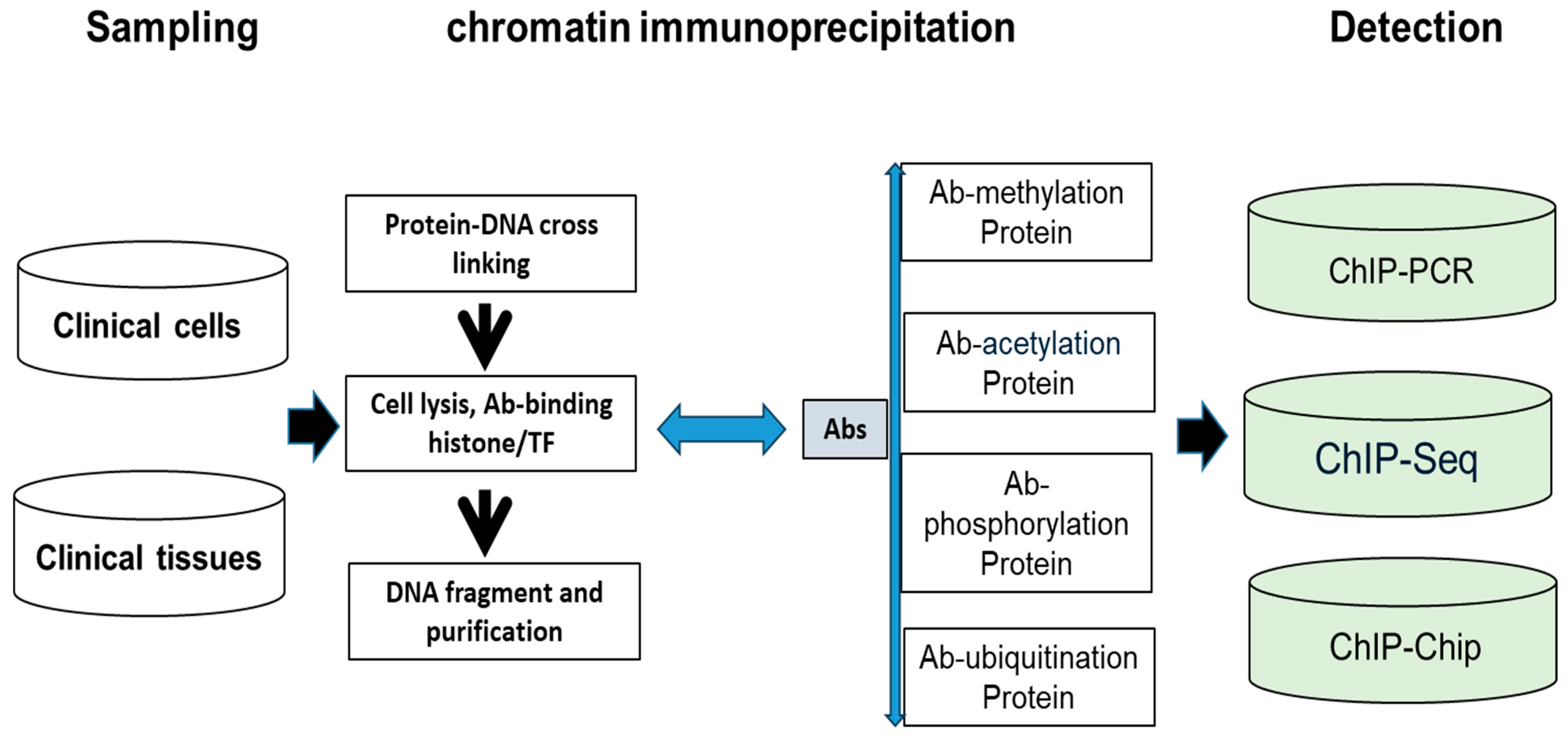 Diagnostics 15 01539 g004 Diagnostics 15 01539 g004