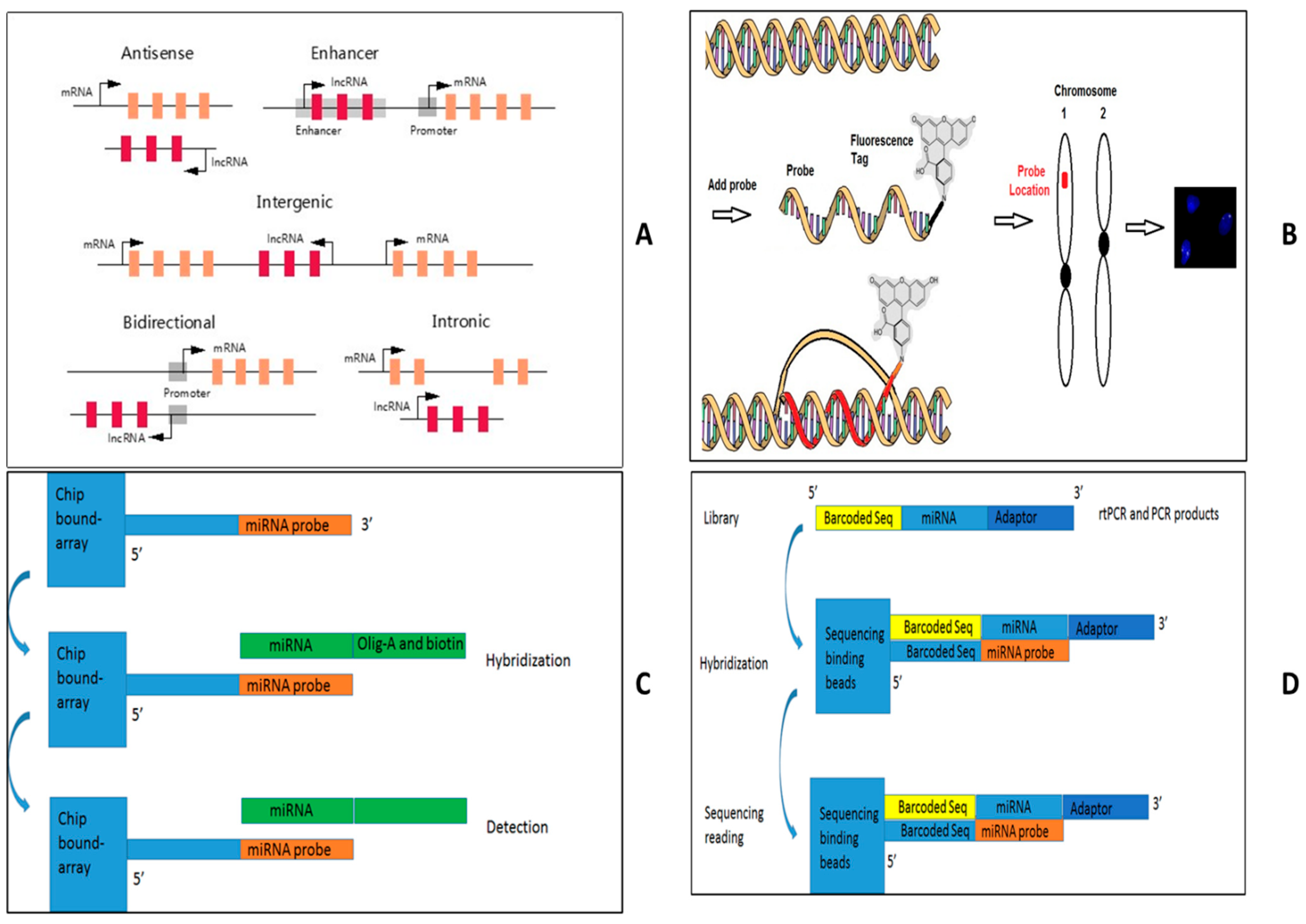 Diagnostics 15 01539 g005 Diagnostics 15 01539 g005