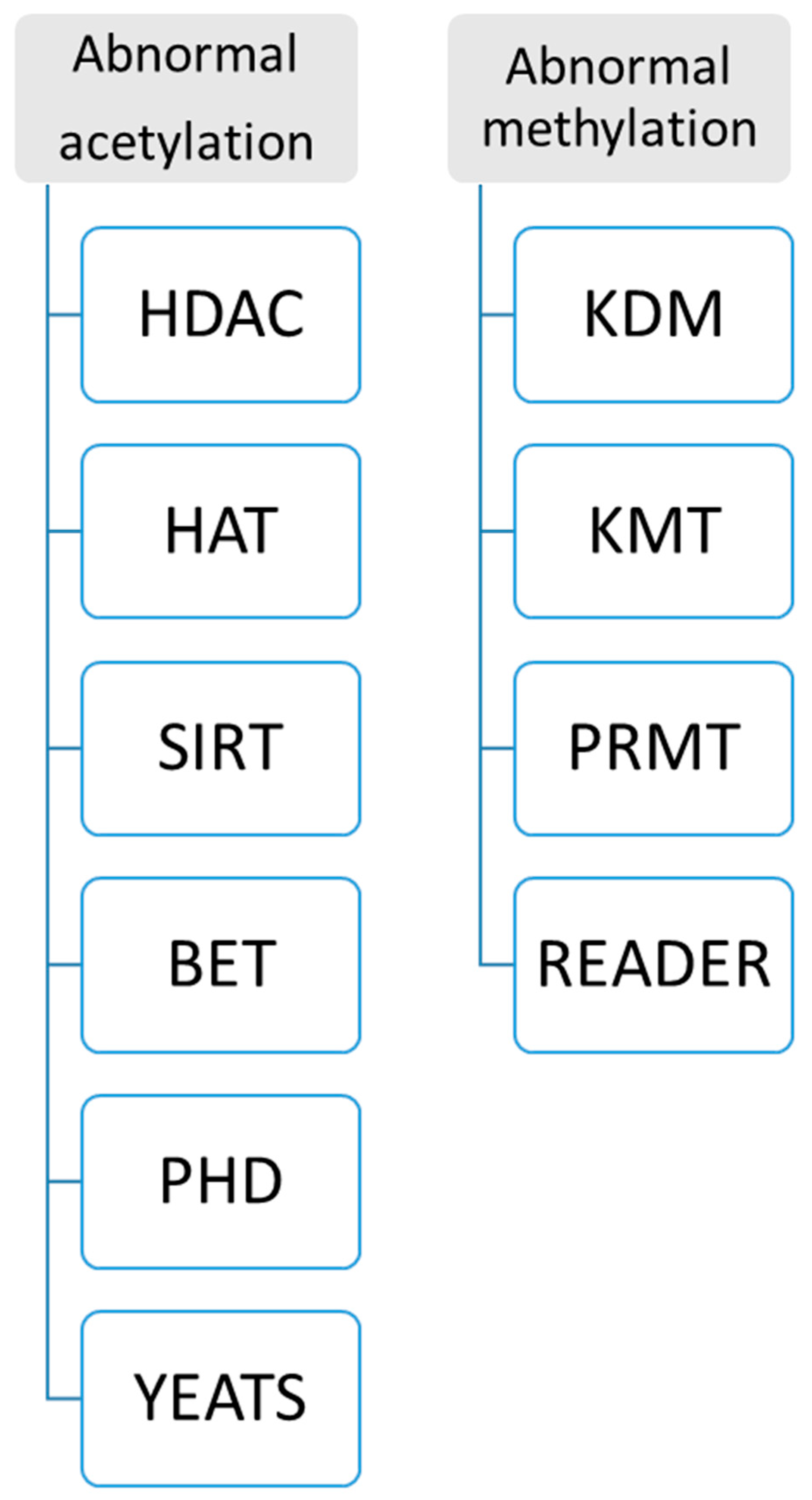 Diagnostics 15 01539 g006 Diagnostics 15 01539 g006