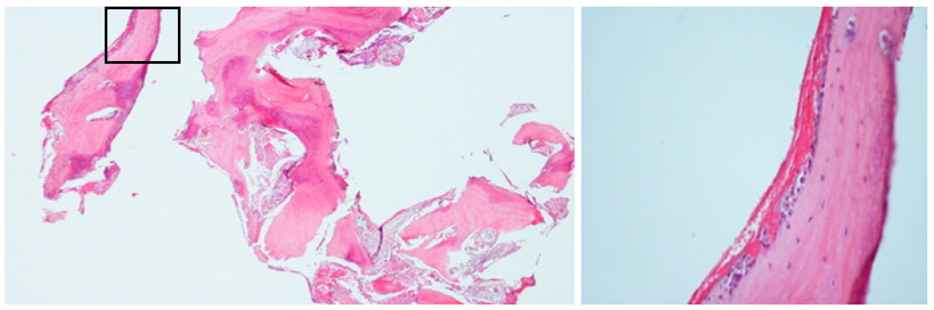 Diagnostics 15 01549 g008