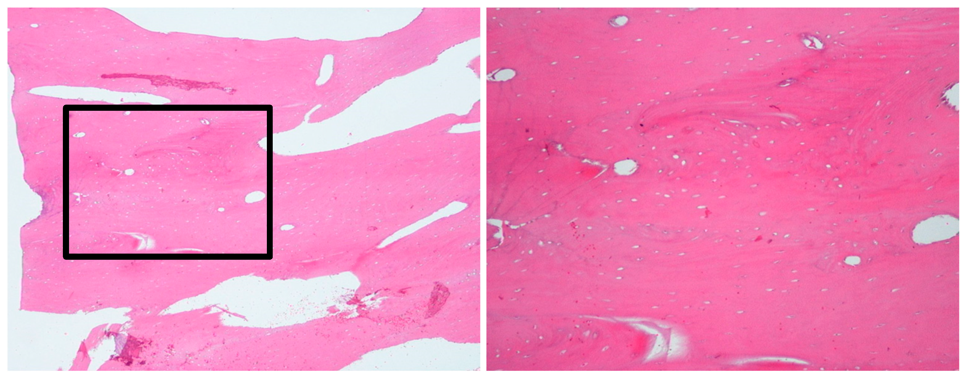 Diagnostics 15 01549 g011