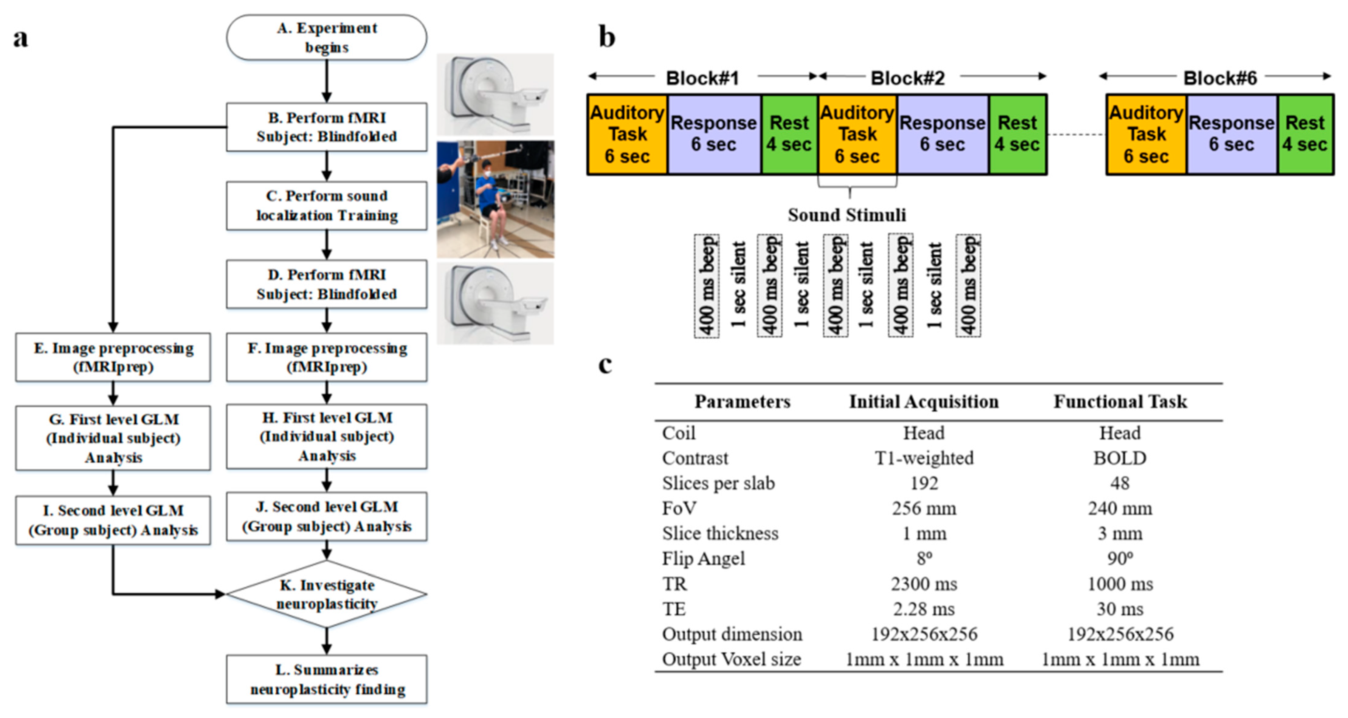 Diagnostics 15 01558 g001