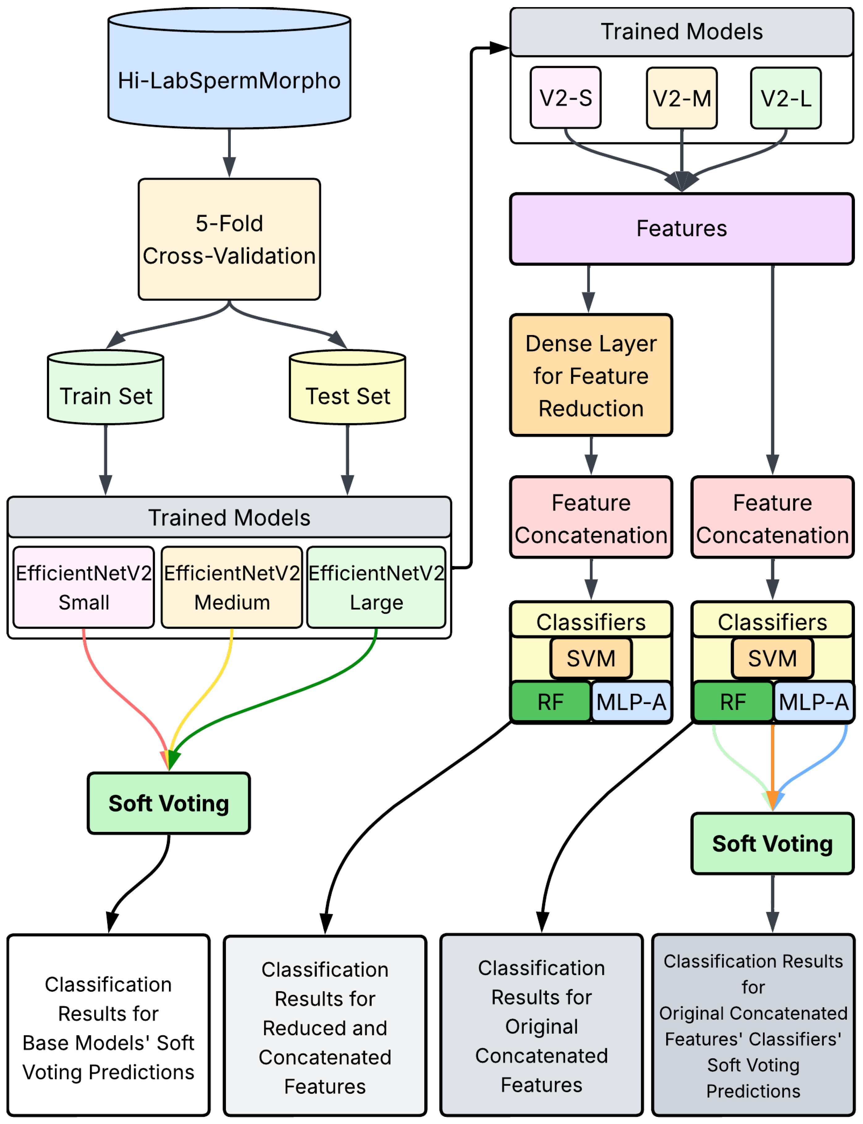 Diagnostics 15 01564 g002