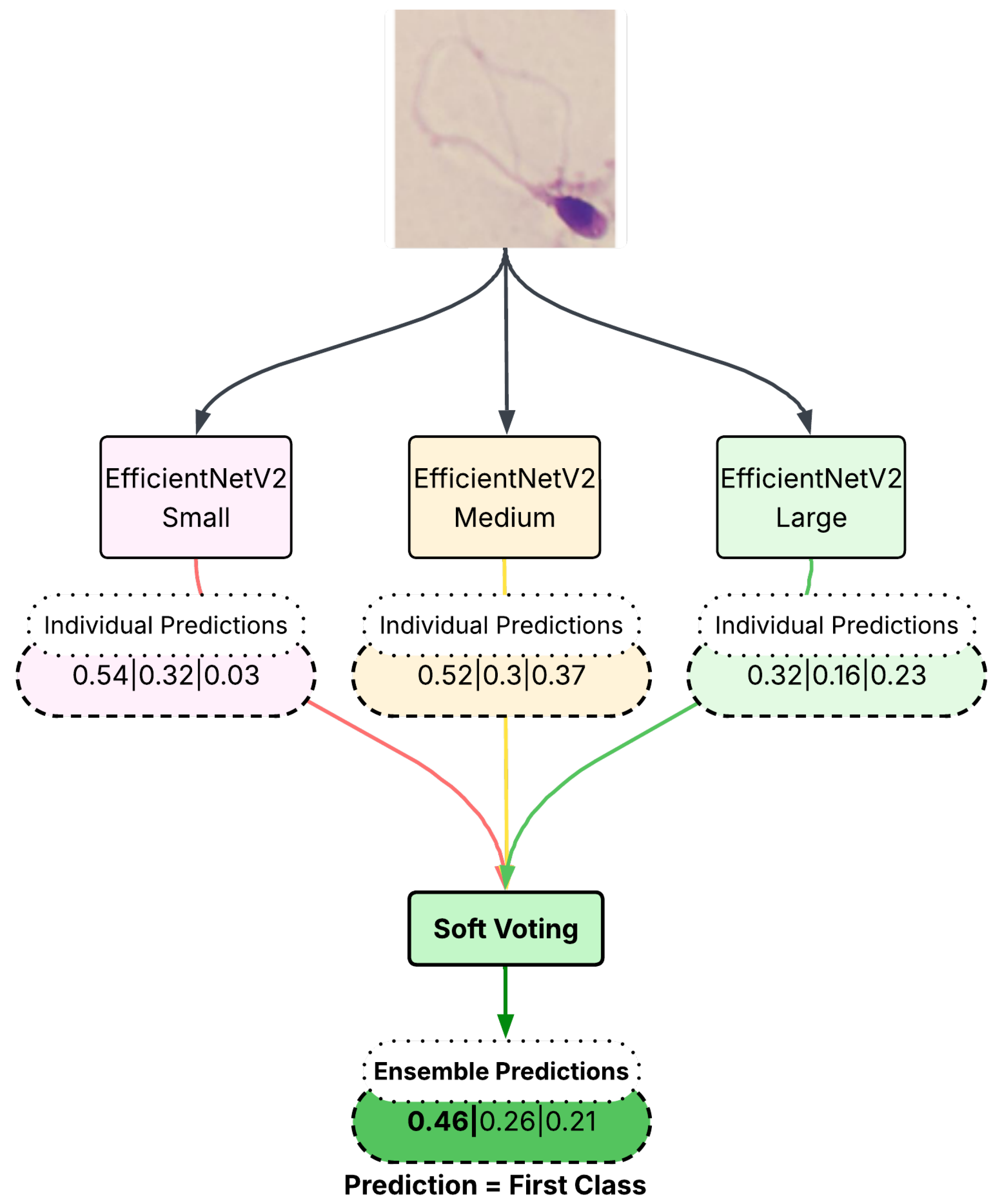 Diagnostics 15 01564 g005