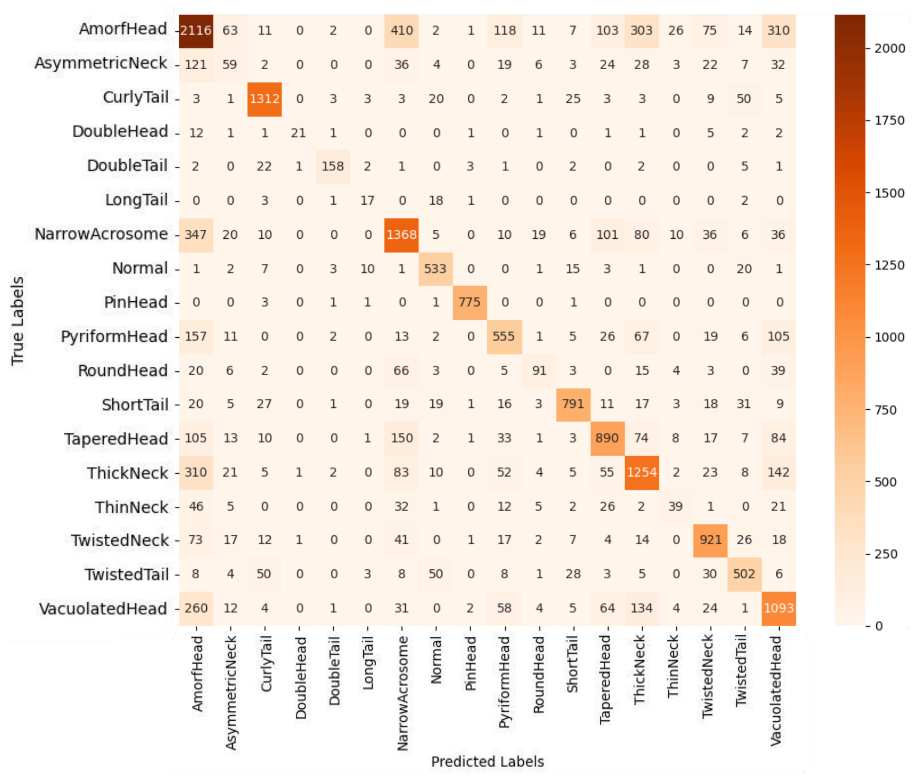 Diagnostics 15 01564 g007