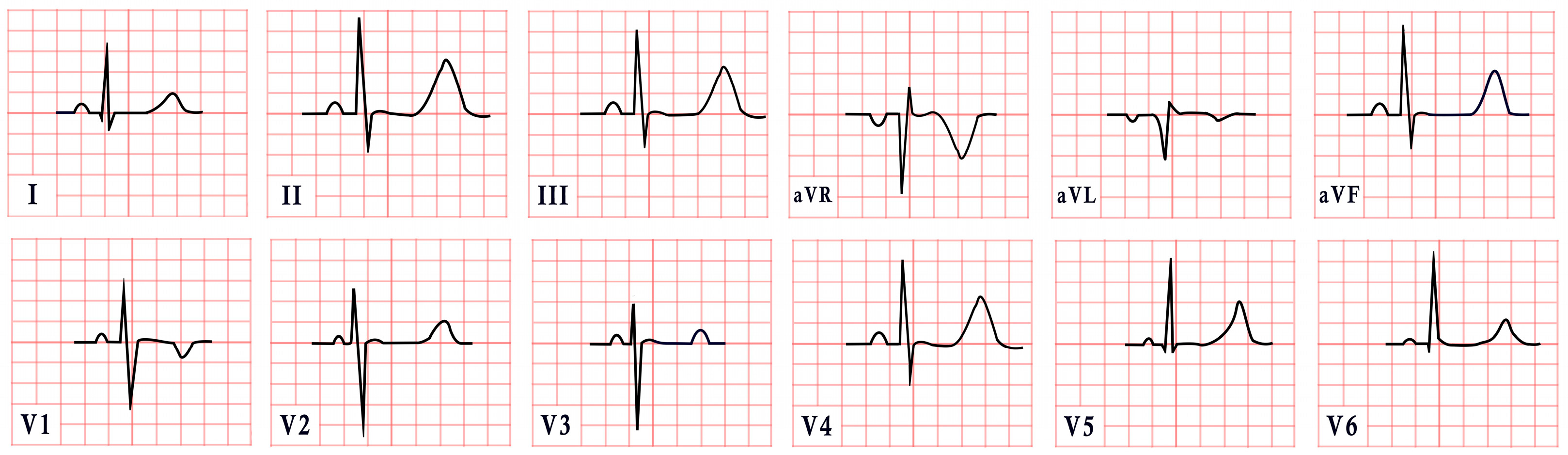 Diagnostics 15 01568 g003