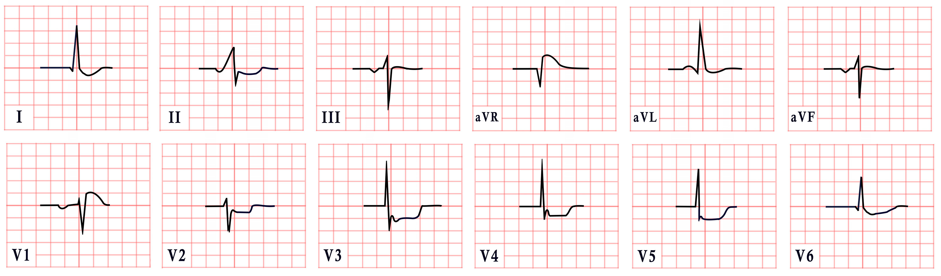 Diagnostics 15 01568 g012