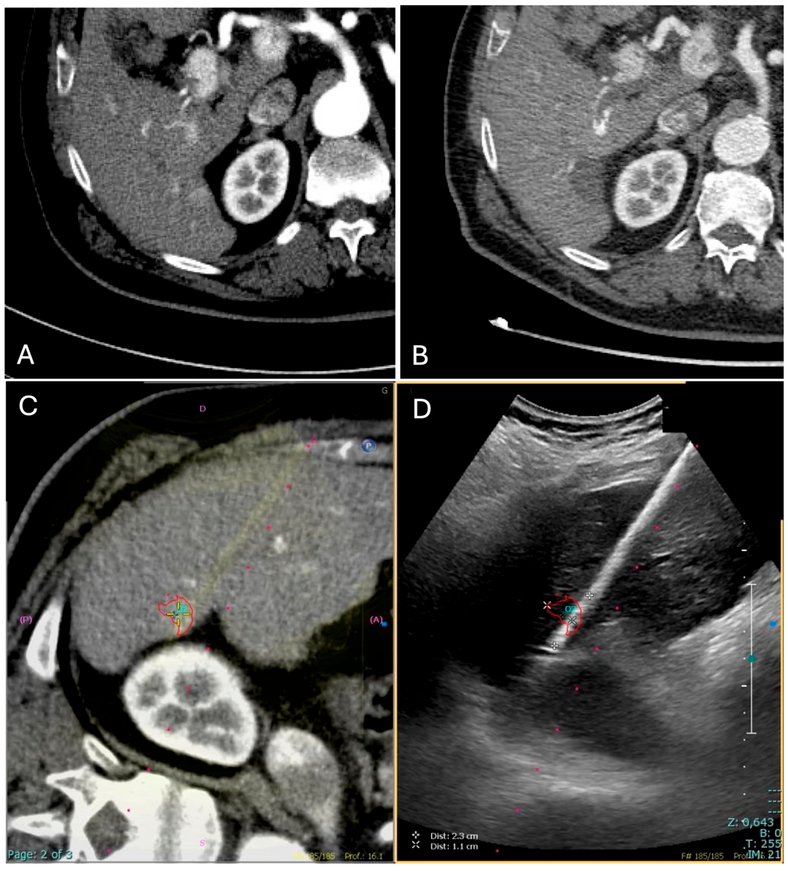 Diagnostics 15 01573 g002