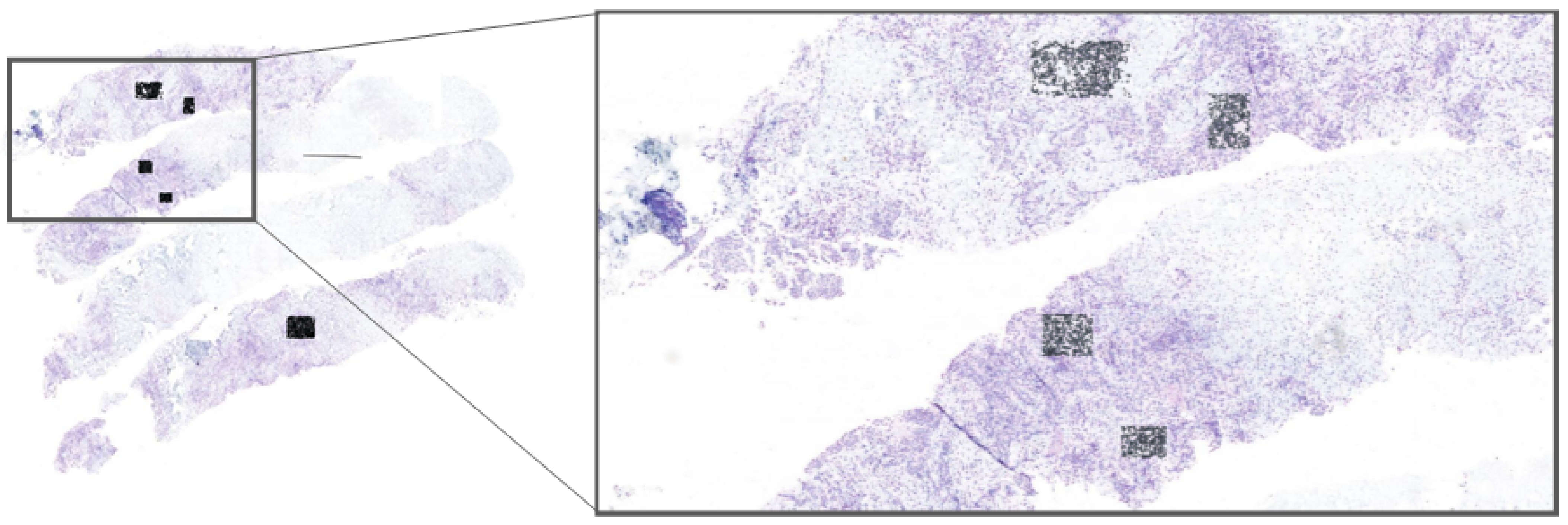 Diagnostics 15 01584 g002