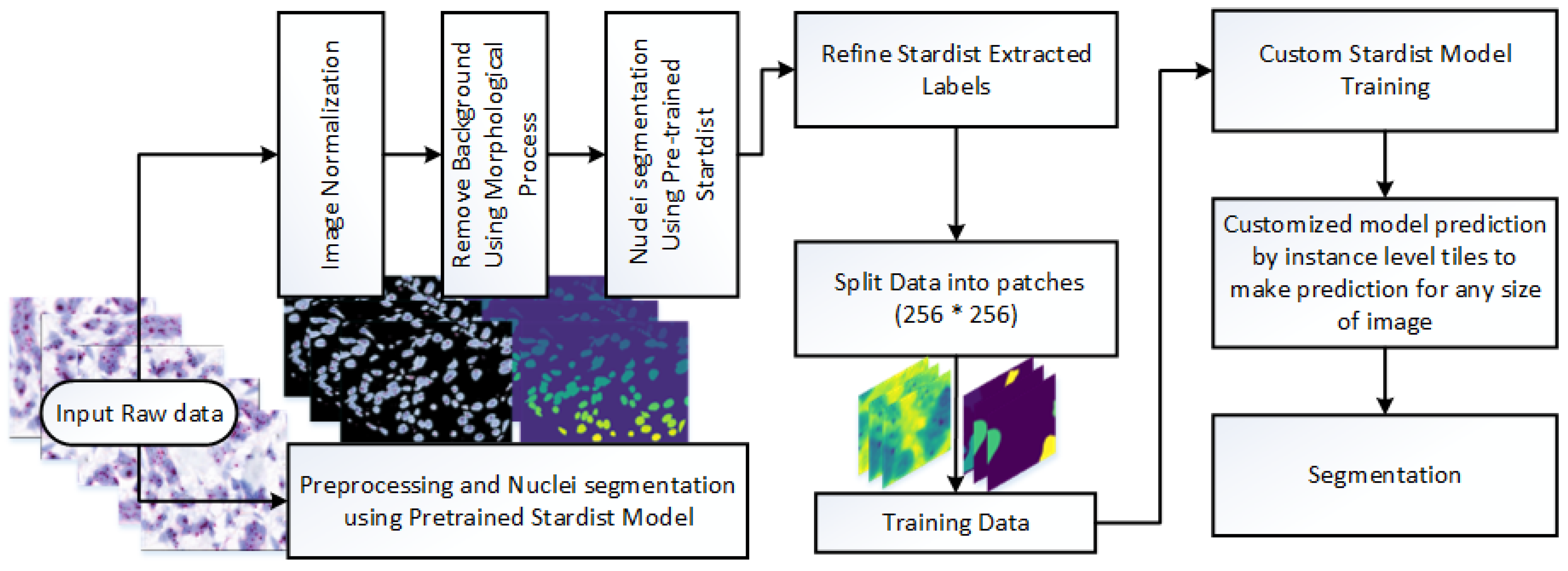 Diagnostics 15 01584 g003