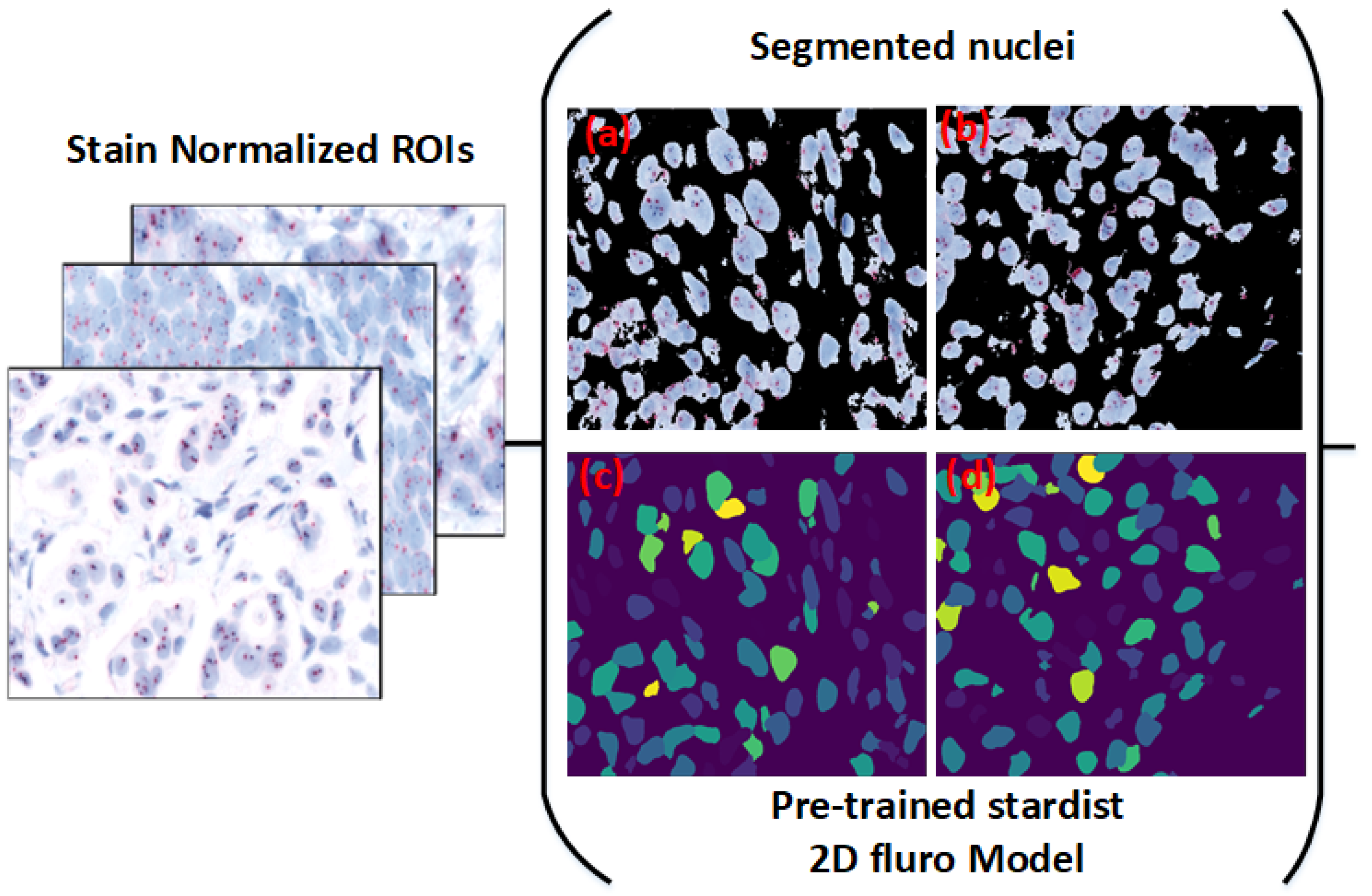 Diagnostics 15 01584 g005