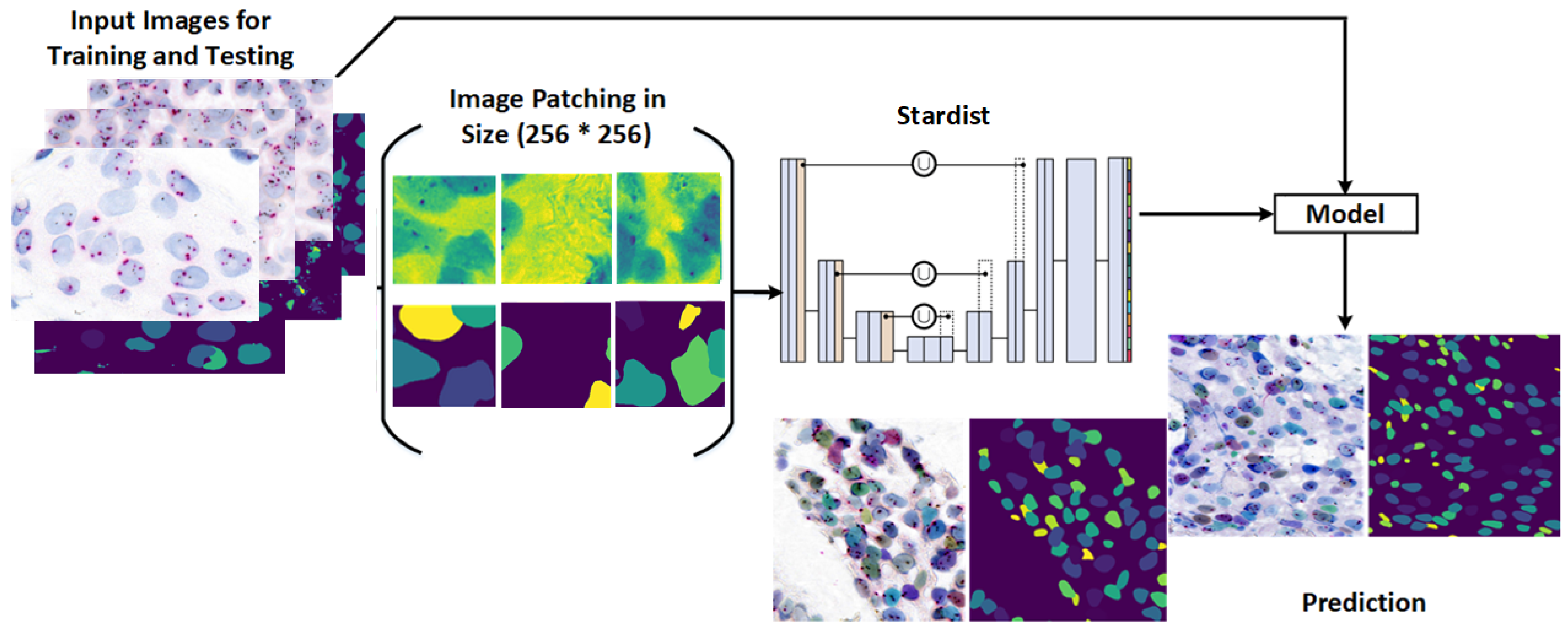 Diagnostics 15 01584 g006