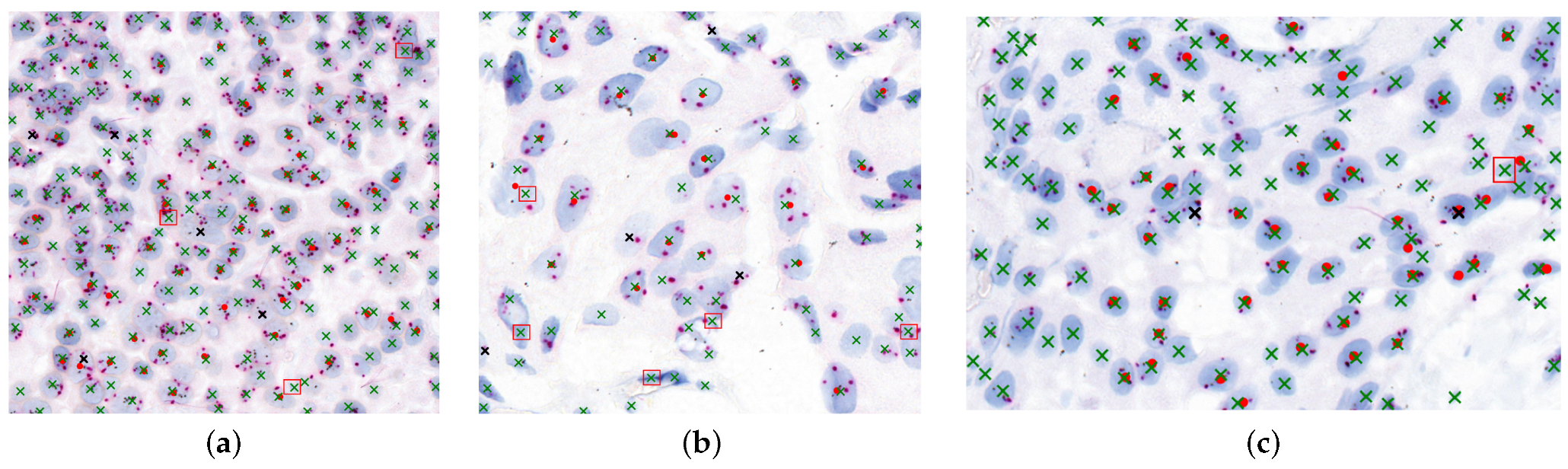 Diagnostics 15 01584 g010