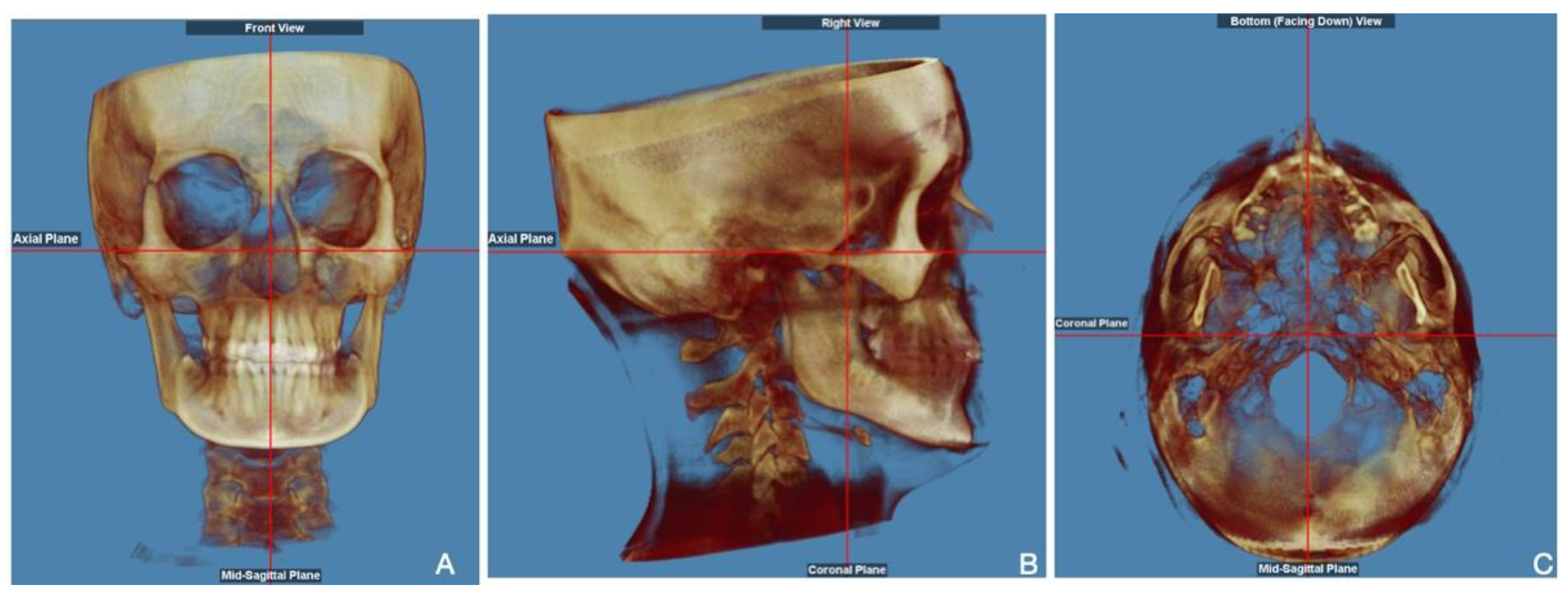 Diagnostics 15 01586 g001
