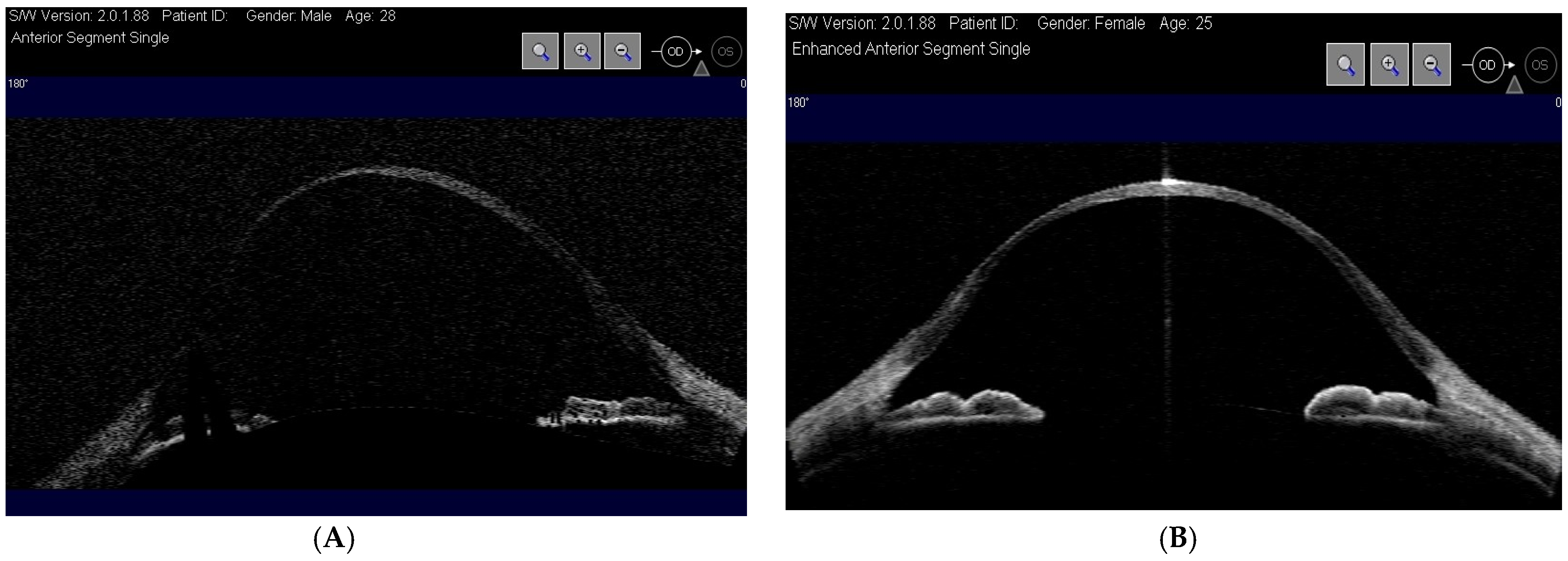 Diagnostics 15 01596 g002