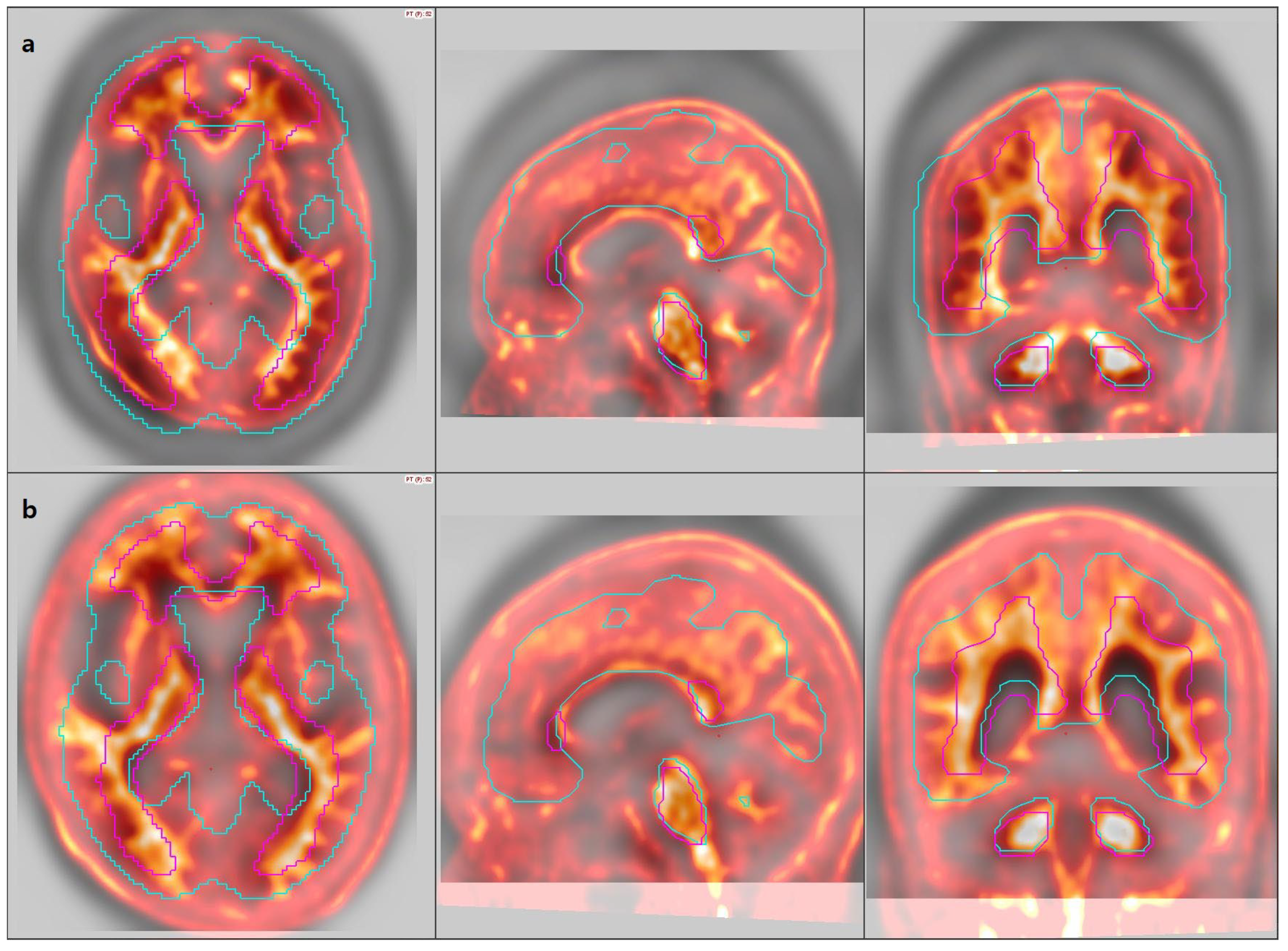 Diagnostics 15 01599 g002