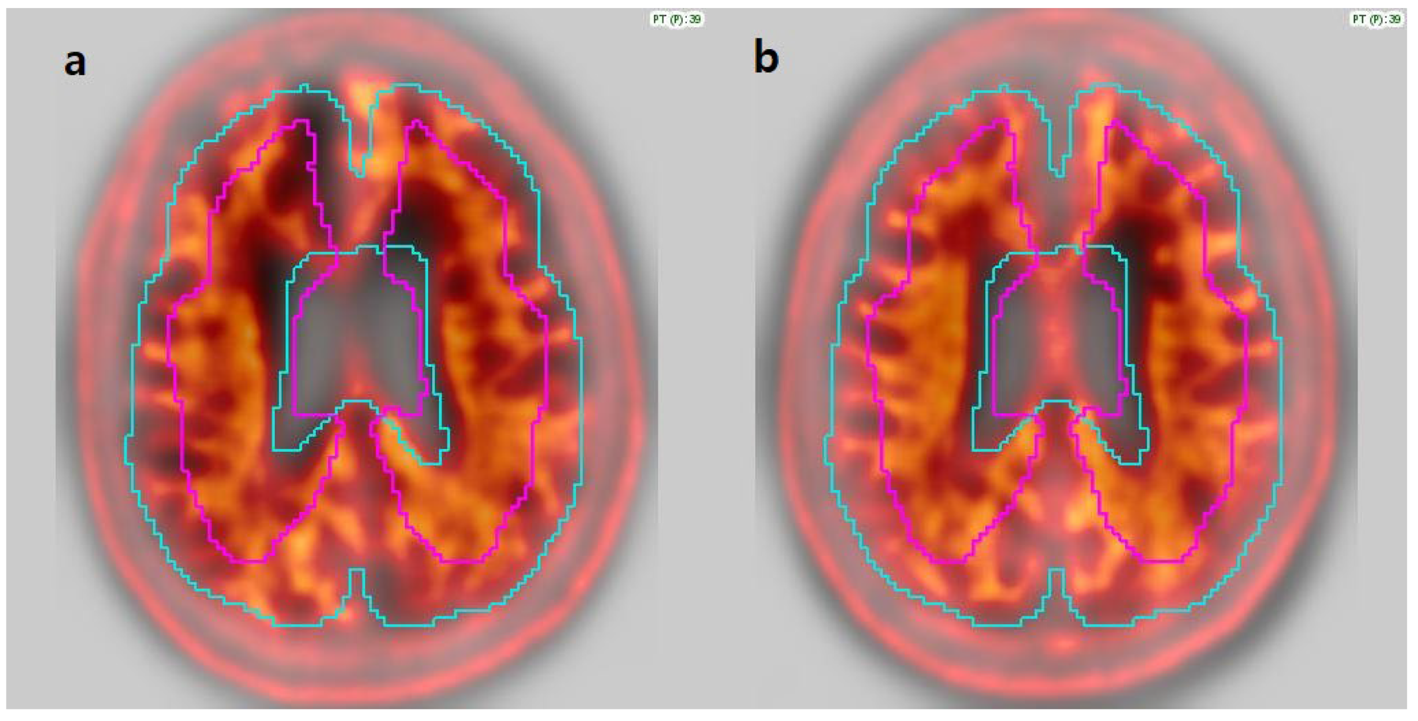 Diagnostics 15 01599 g003