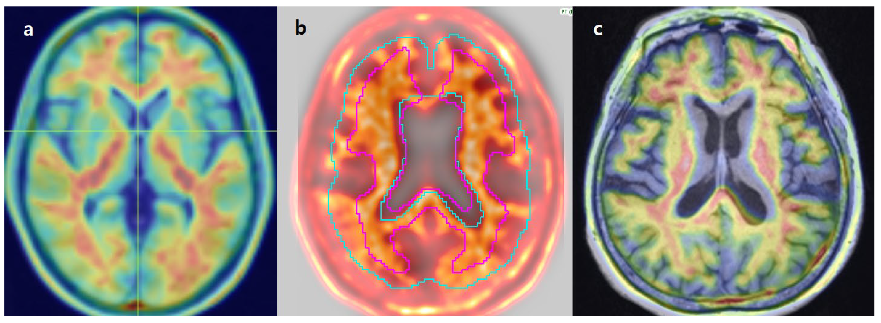 Diagnostics 15 01599 g009
