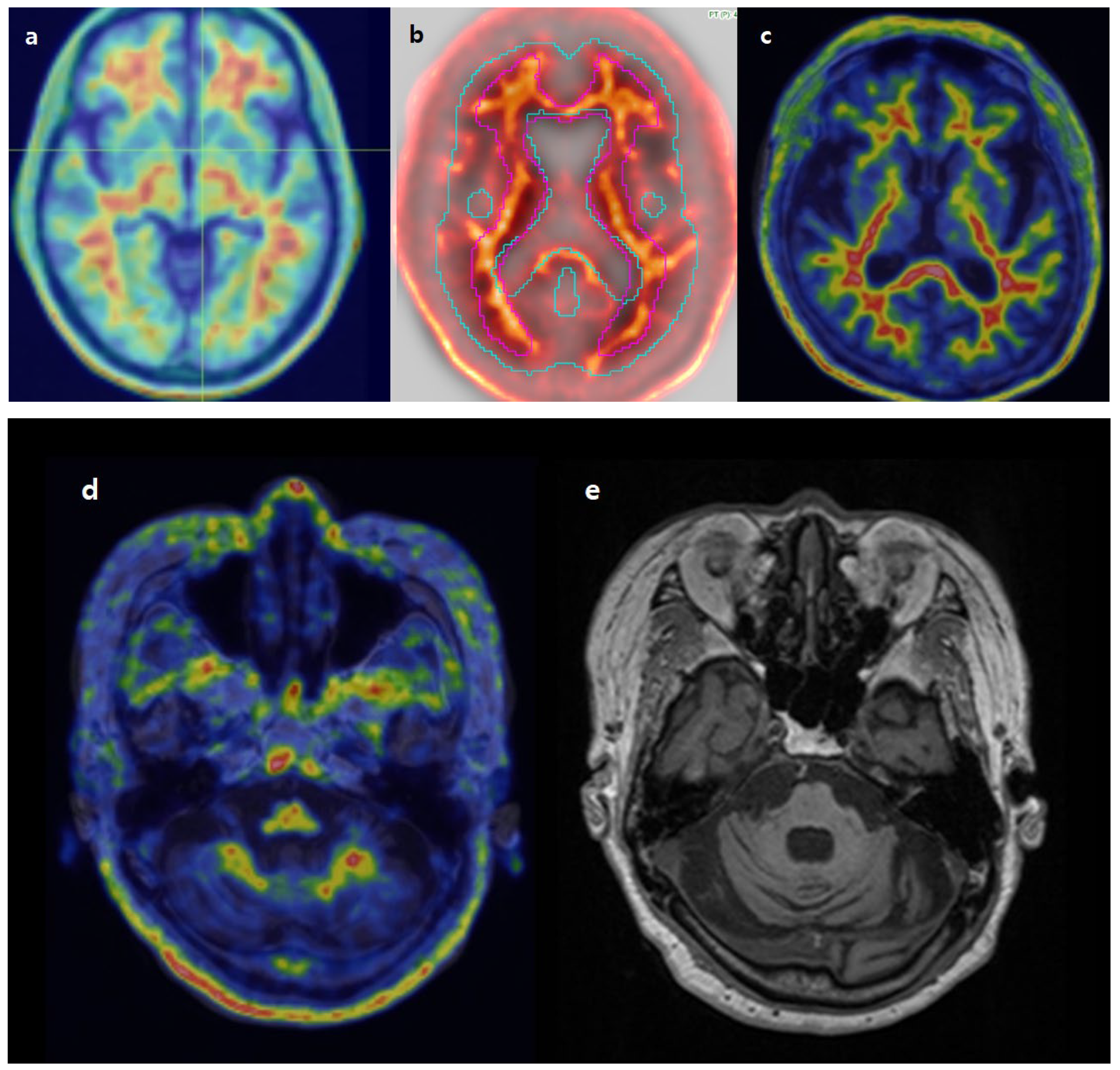 Diagnostics 15 01599 g010