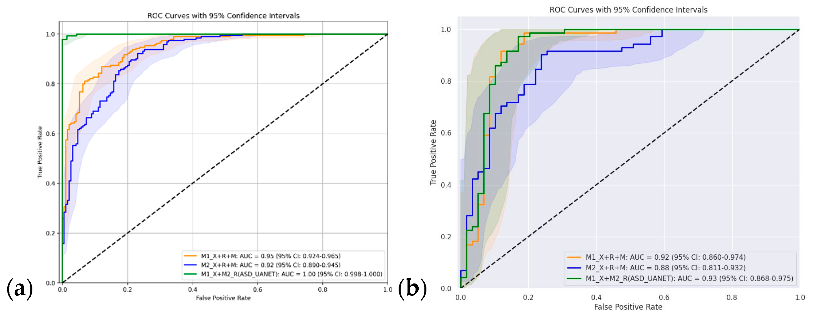 Diagnostics 15 01601 g006
