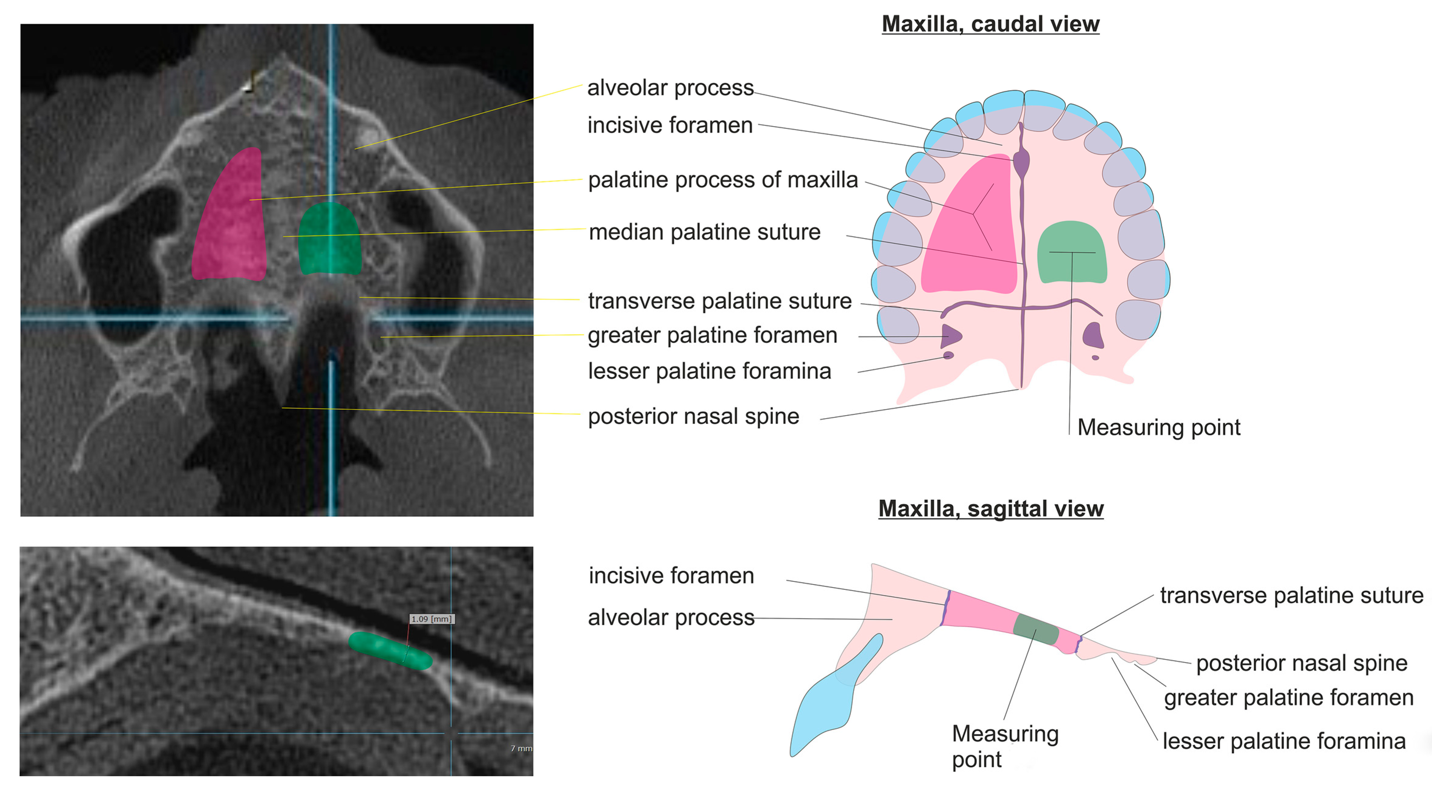 Diagnostics 15 01603 g001