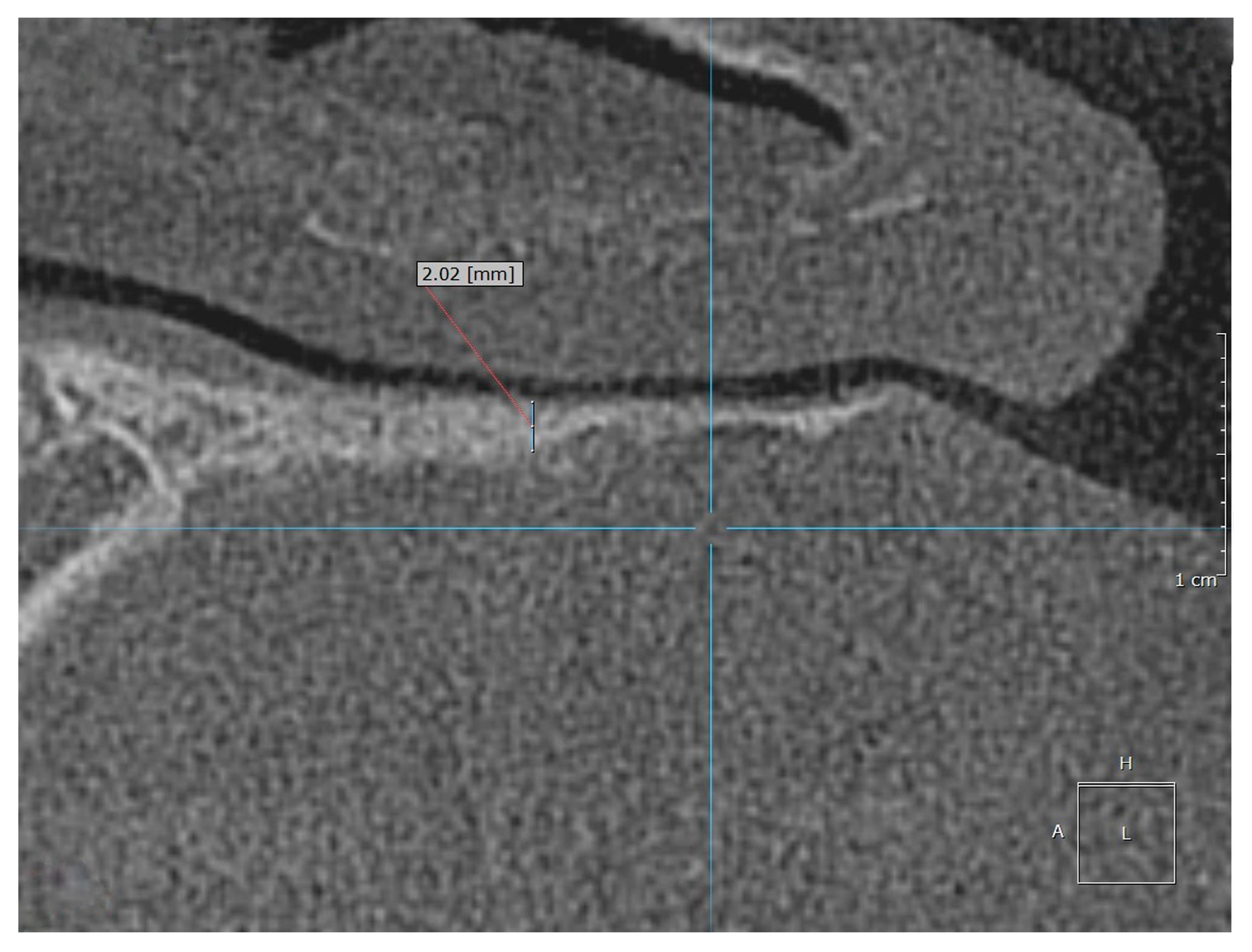 Diagnostics 15 01603 g002