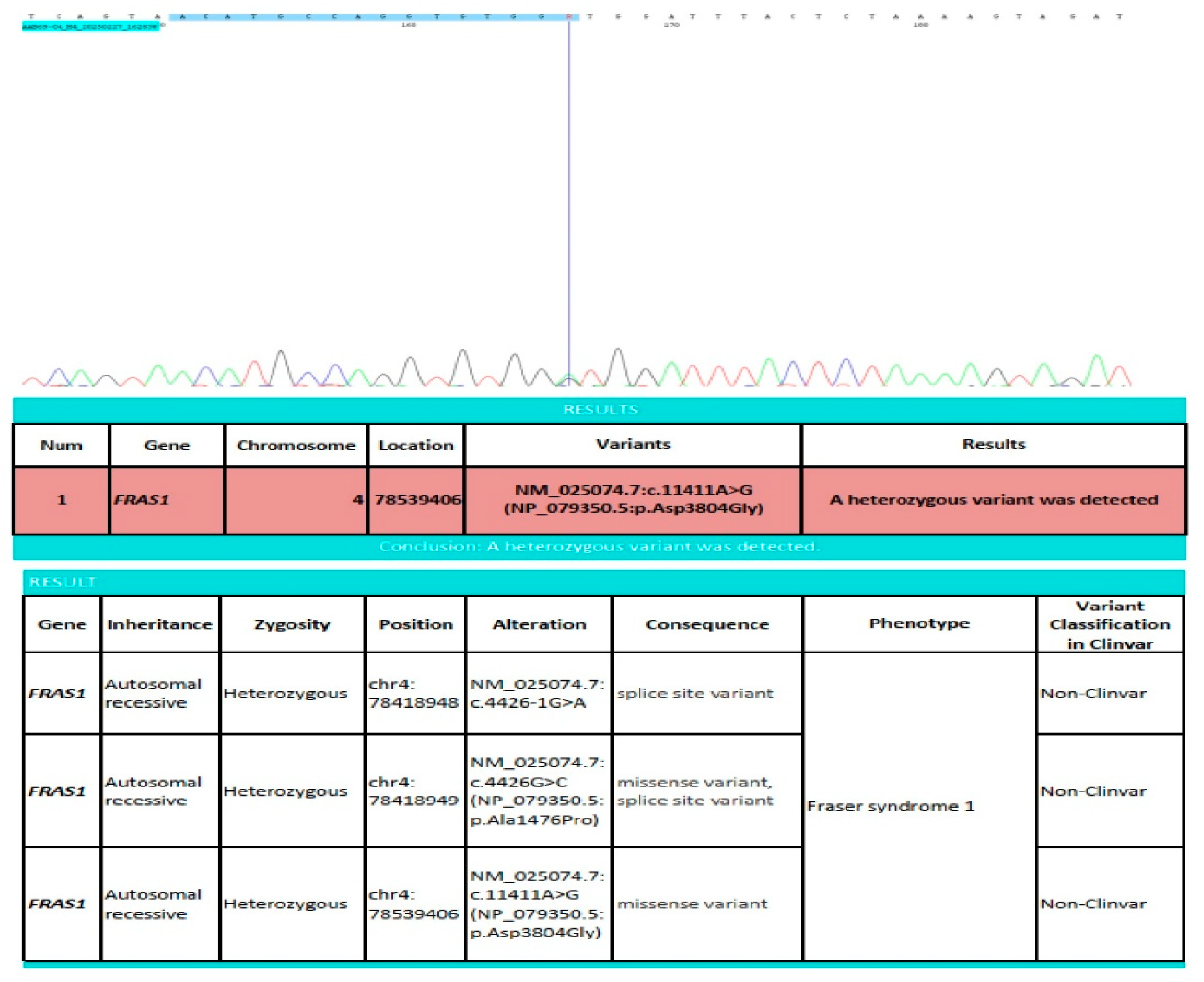 Diagnostics 15 01606 g003 Diagnostics 15 01606 g003