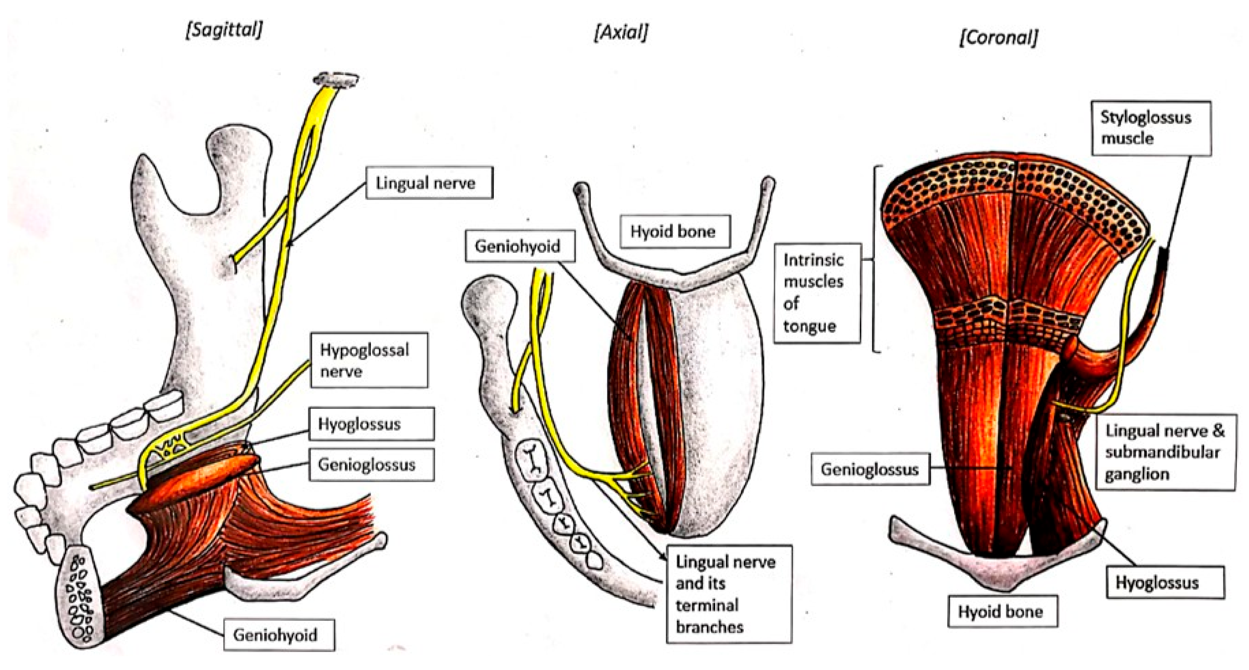 Diagnostics 15 01609 g004 Diagnostics 15 01609 g004