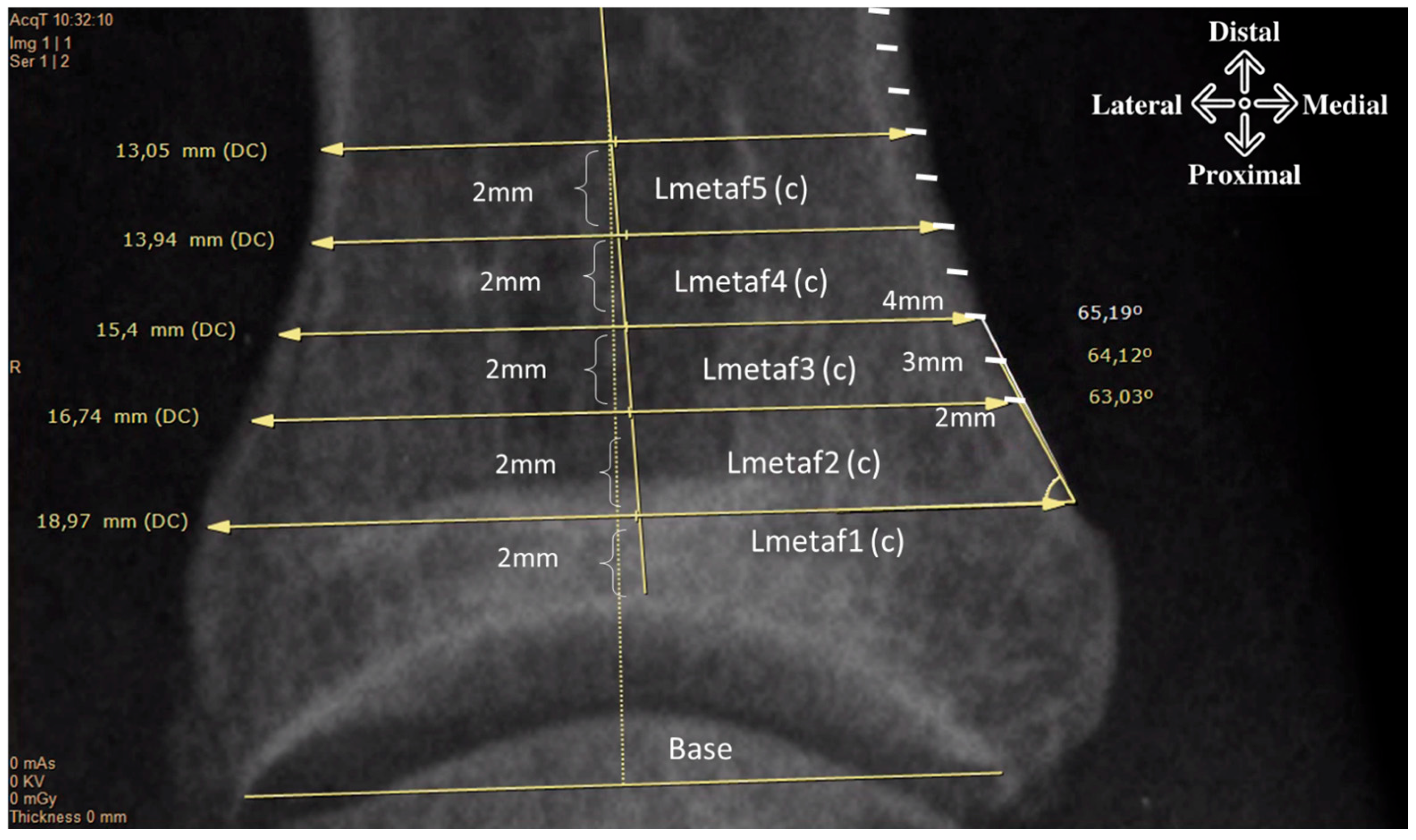 Diagnostics 15 01618 g001