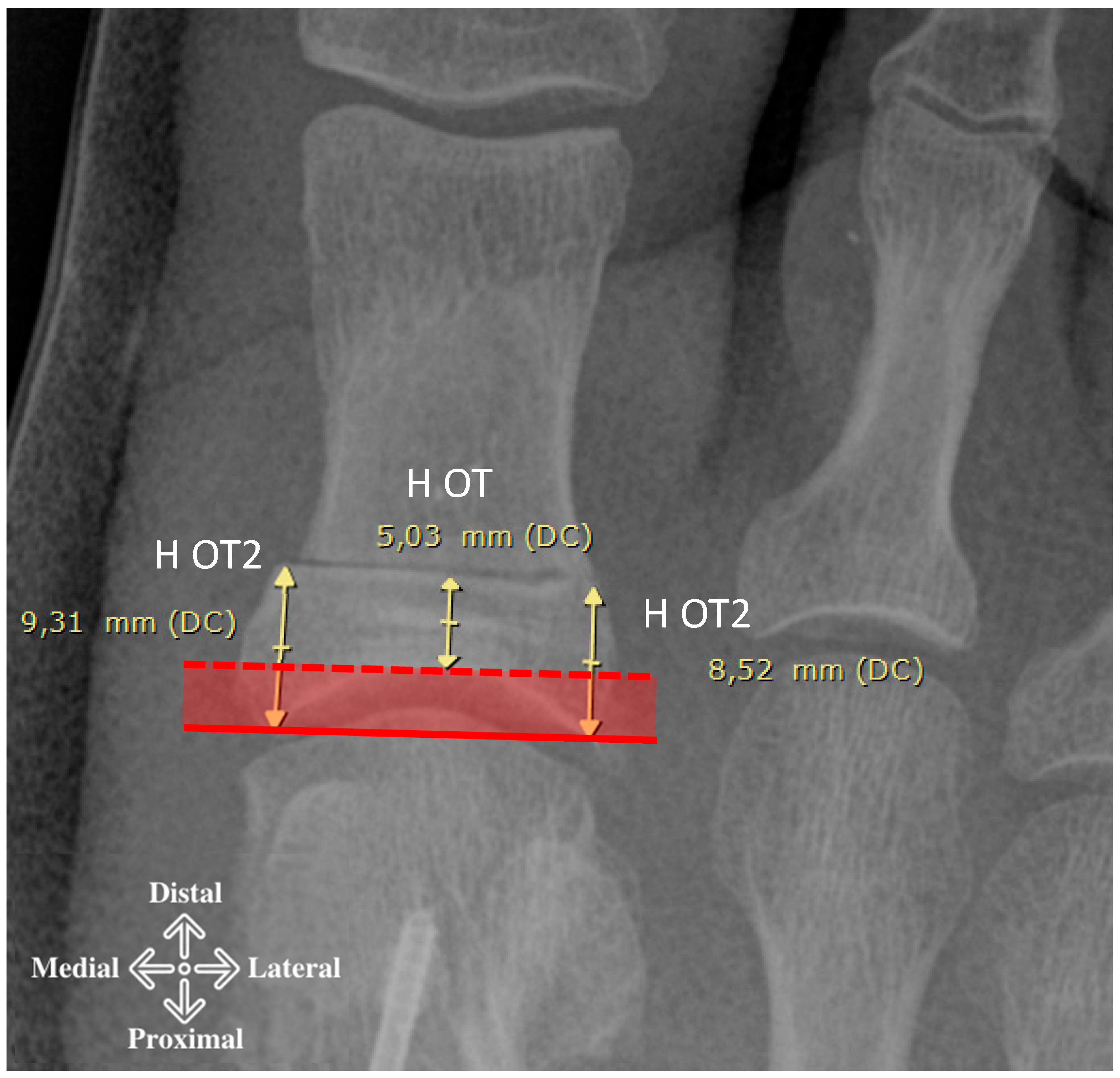 Diagnostics 15 01618 g002
