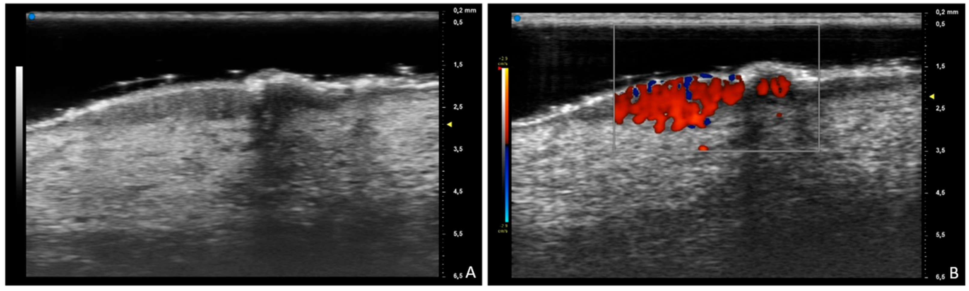 Diagnostics 15 01624 g001