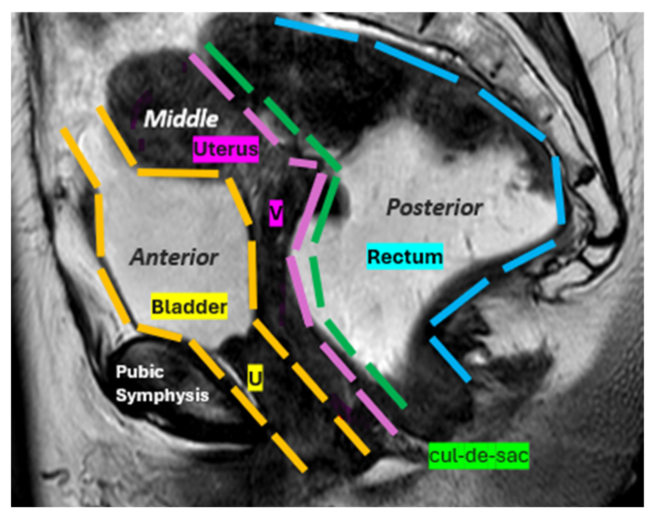 Diagnostics 15 01625 g002
