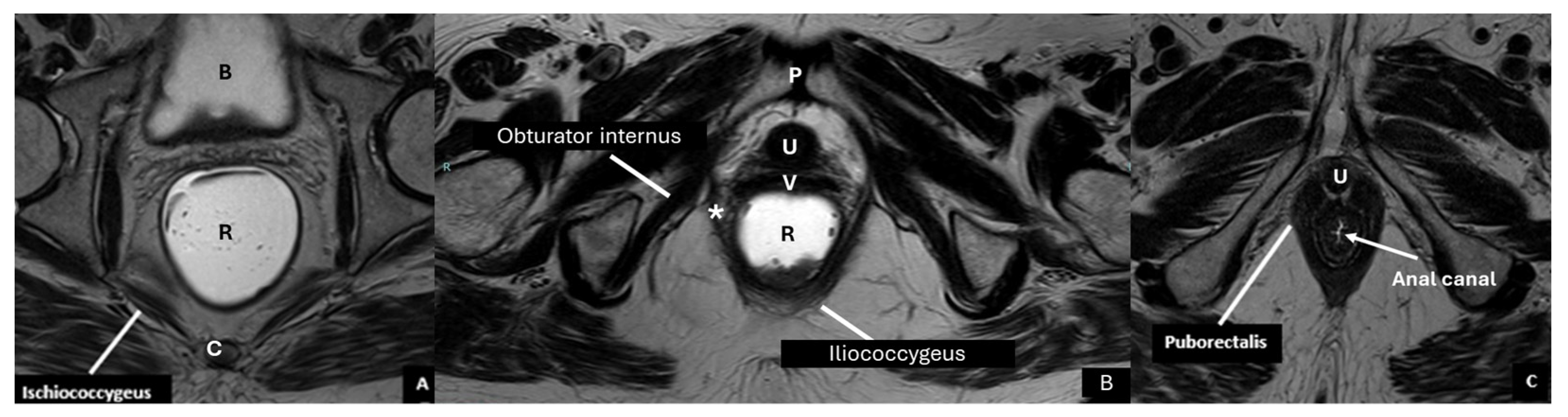 Diagnostics 15 01625 g003