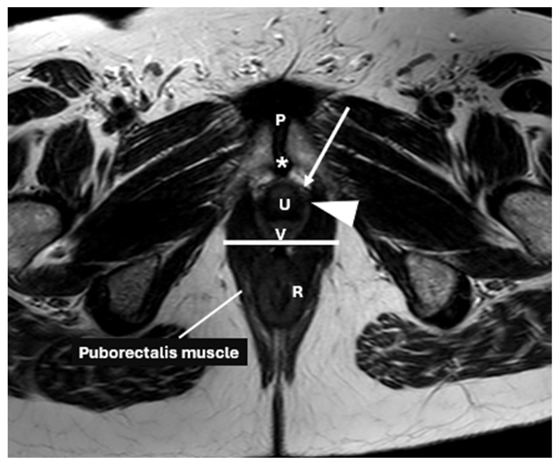 Diagnostics 15 01625 g004