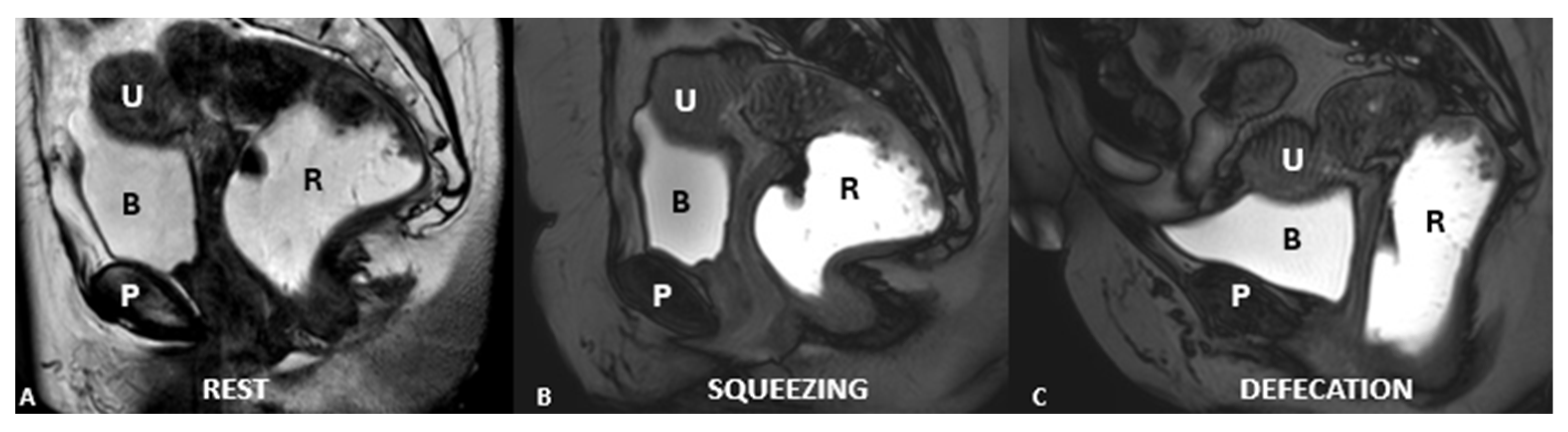Diagnostics 15 01625 g006