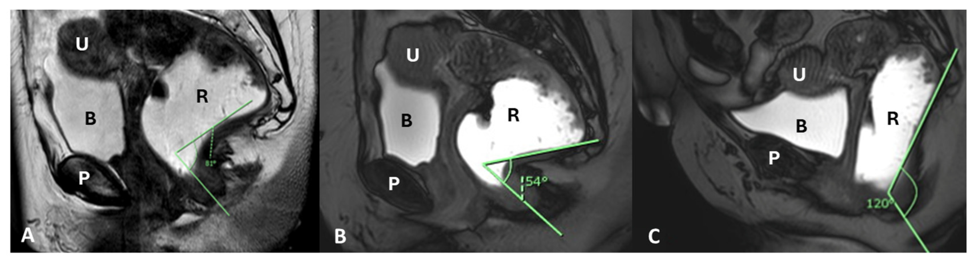 Diagnostics 15 01625 g007