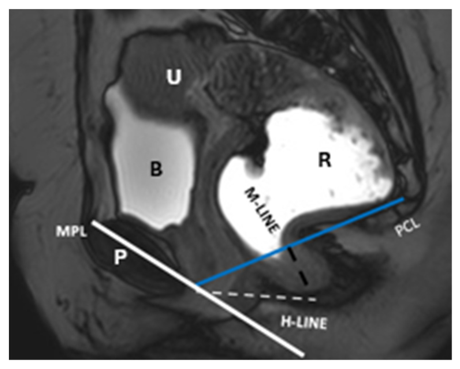 Diagnostics 15 01625 g008