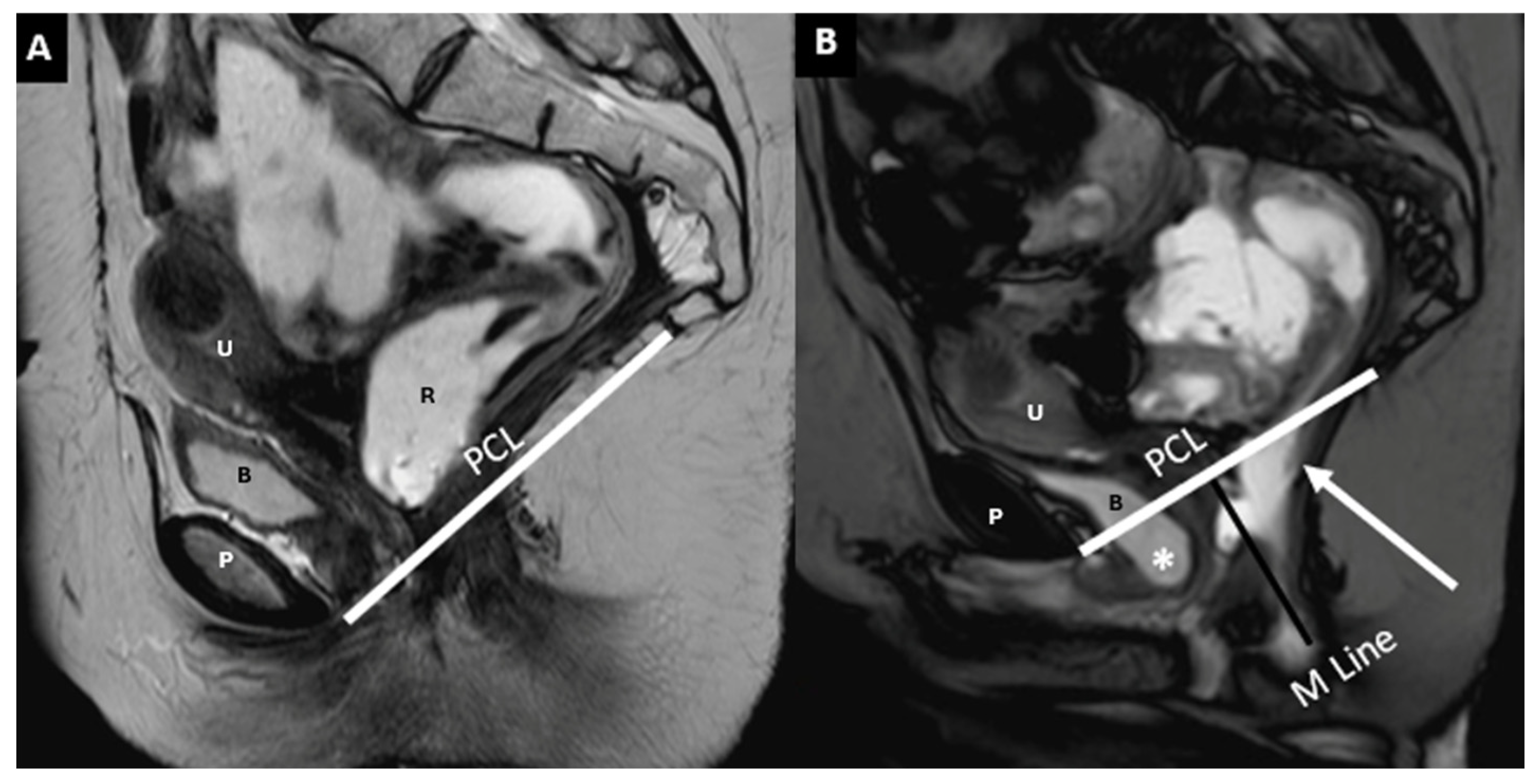 Diagnostics 15 01625 g009