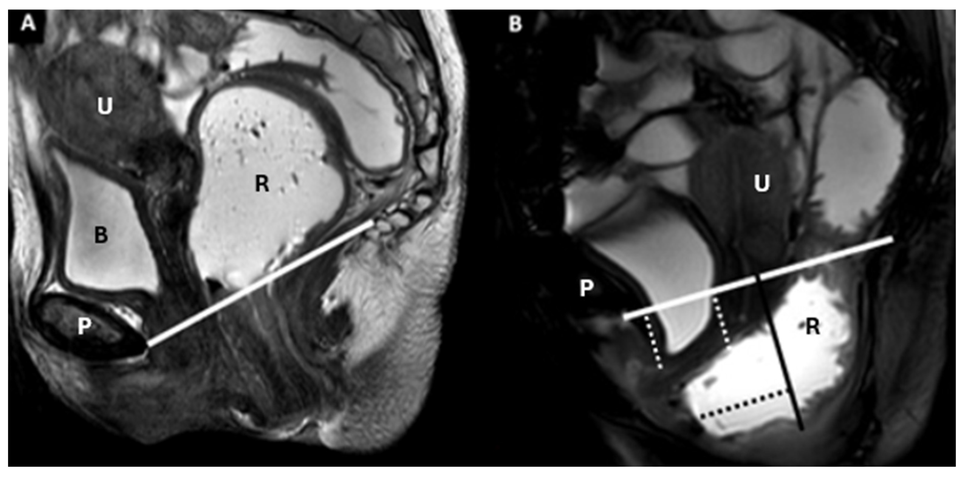 Diagnostics 15 01625 g012