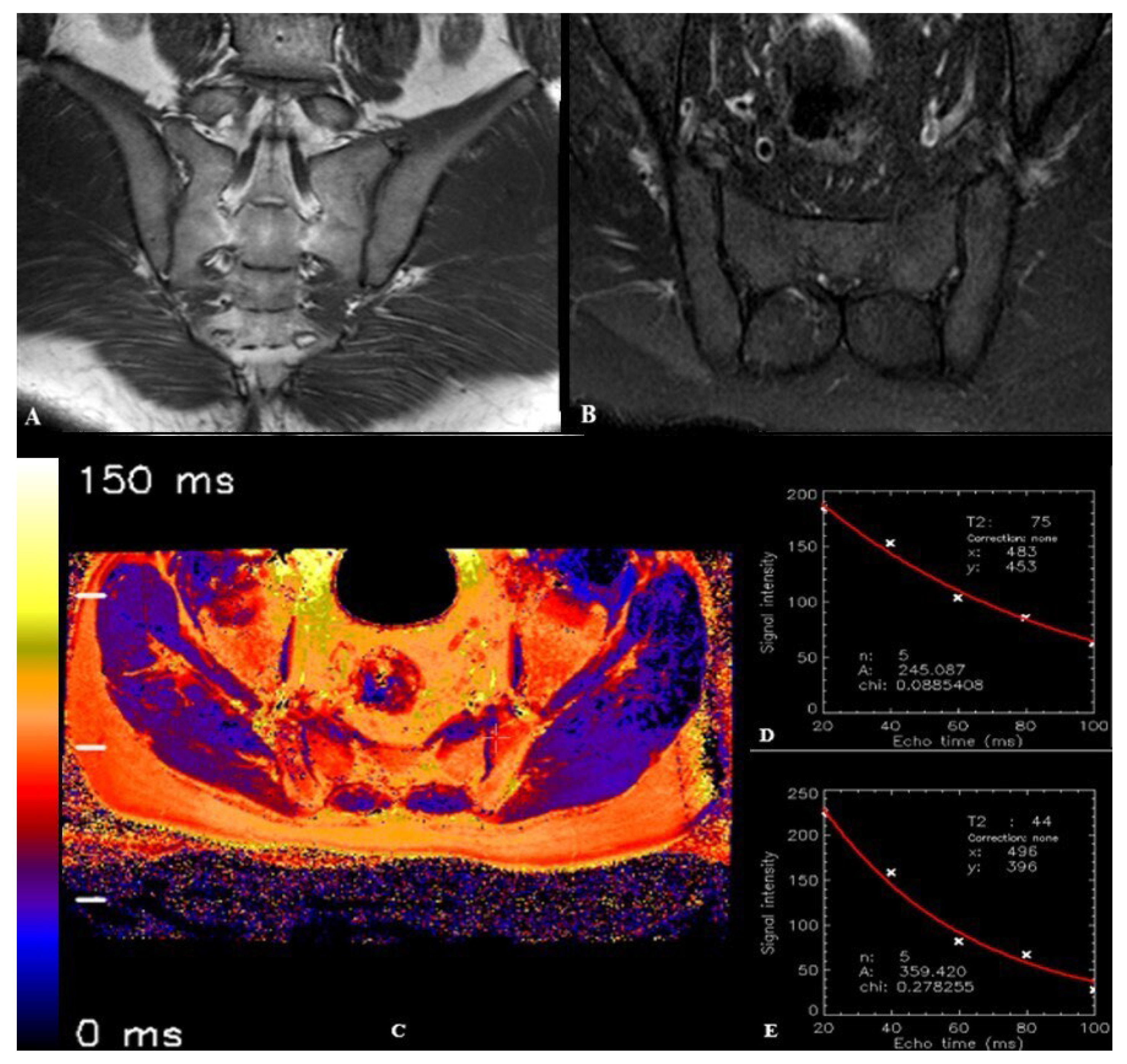 Diagnostics 15 01634 g003