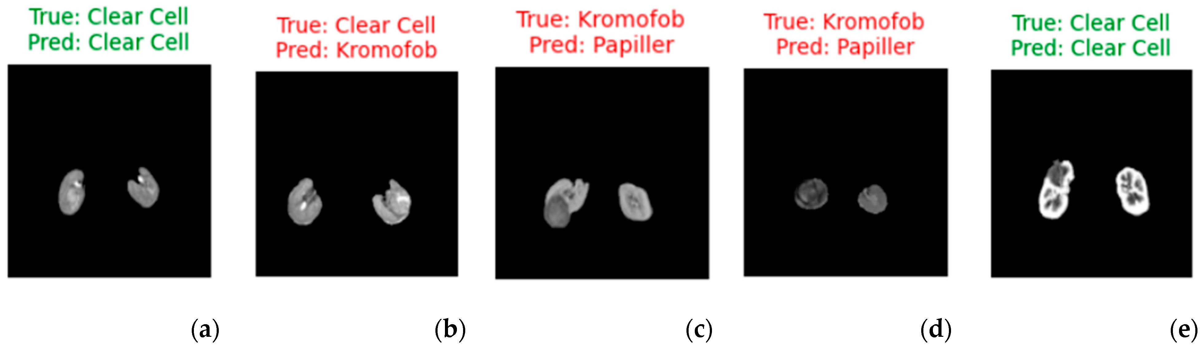 Diagnostics 15 01636 g006