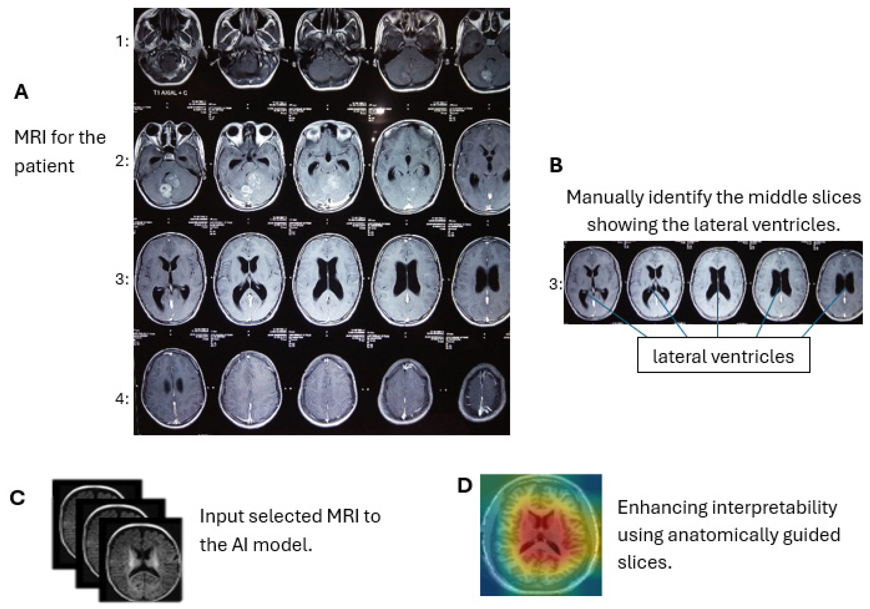 Diagnostics 15 01642 g003