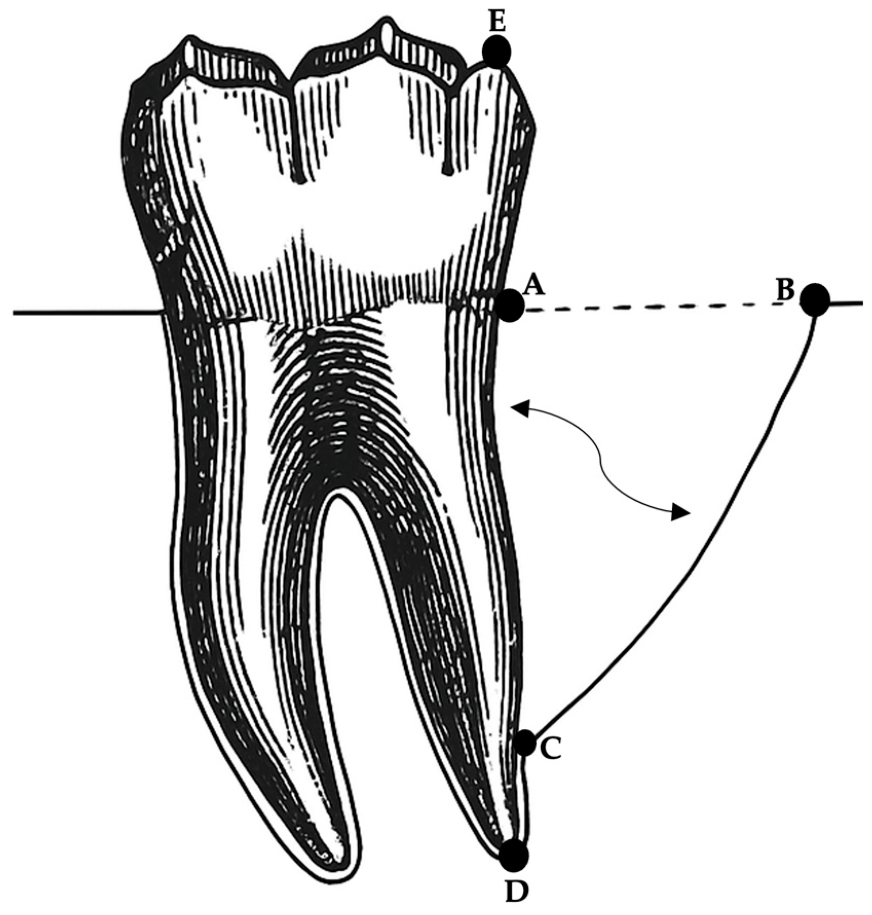 Diagnostics 15 01643 g001