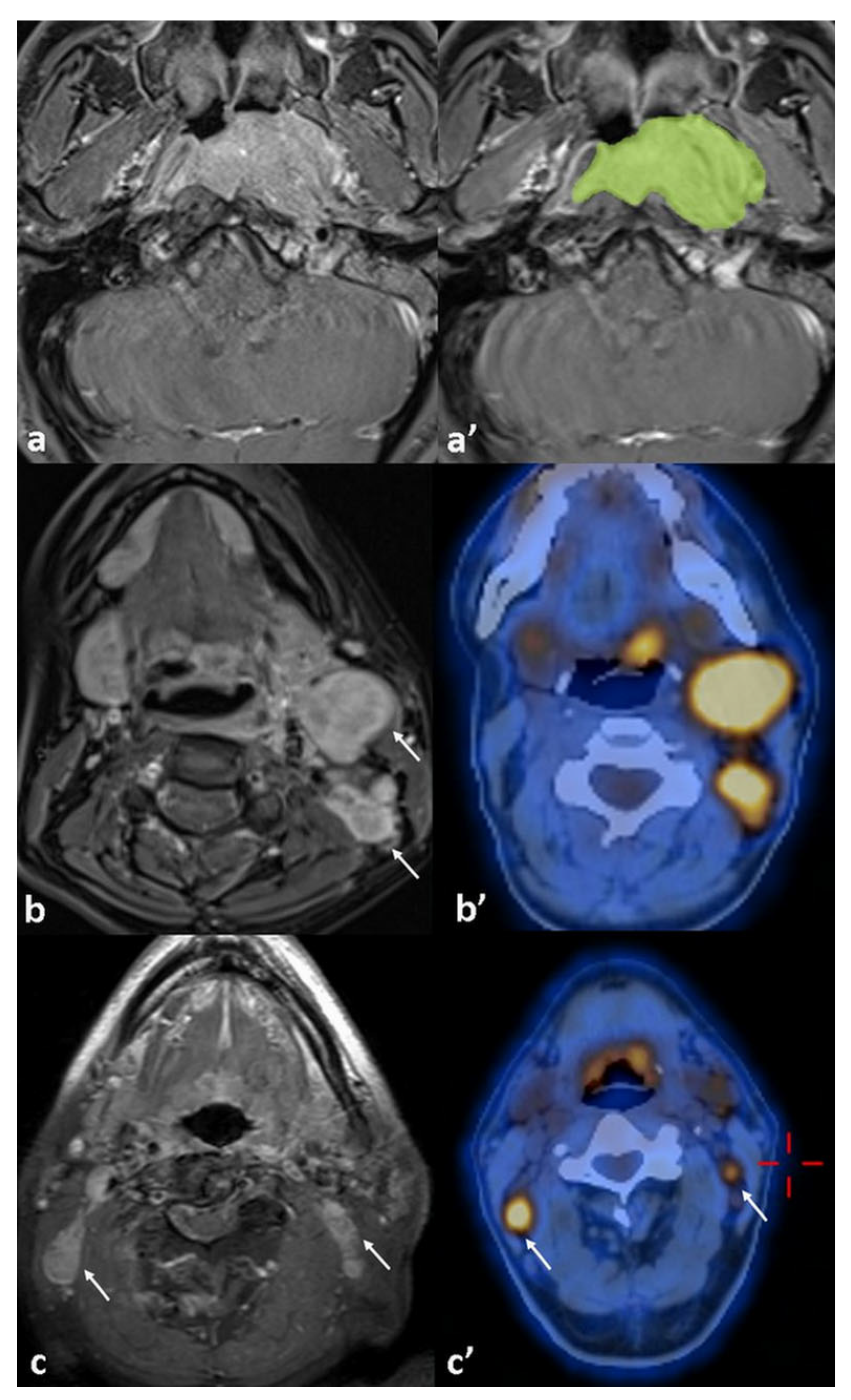Diagnostics 15 01646 g002